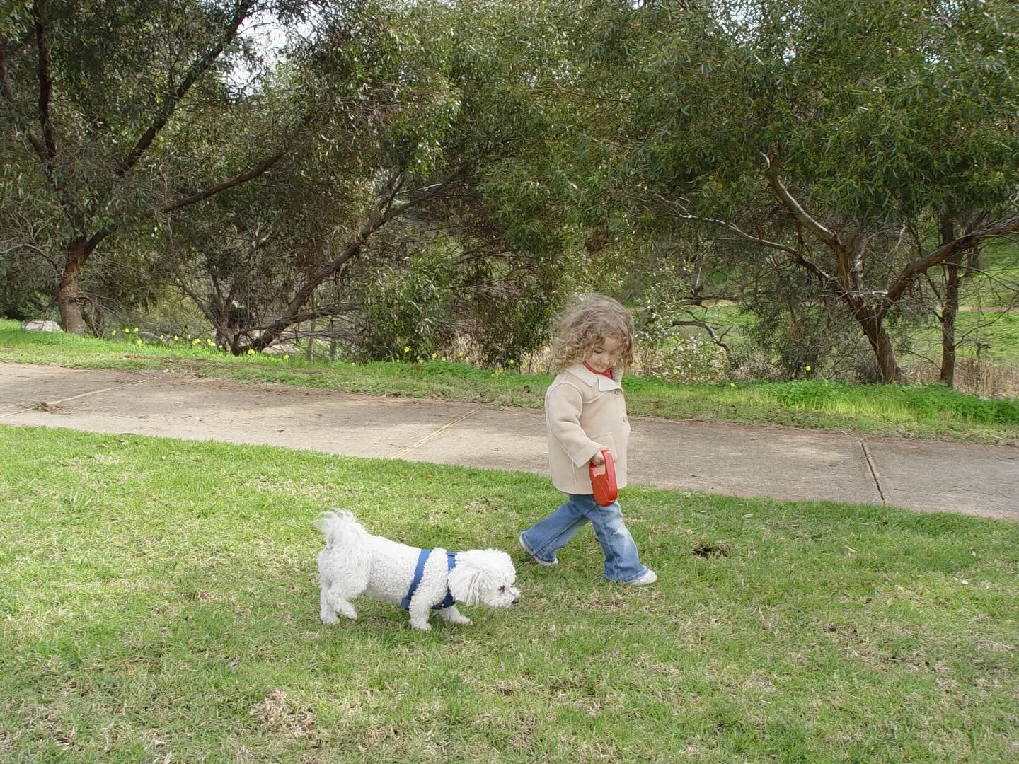 She was always destined to have a little white fluffy dog @hollyseeleyy 🖤