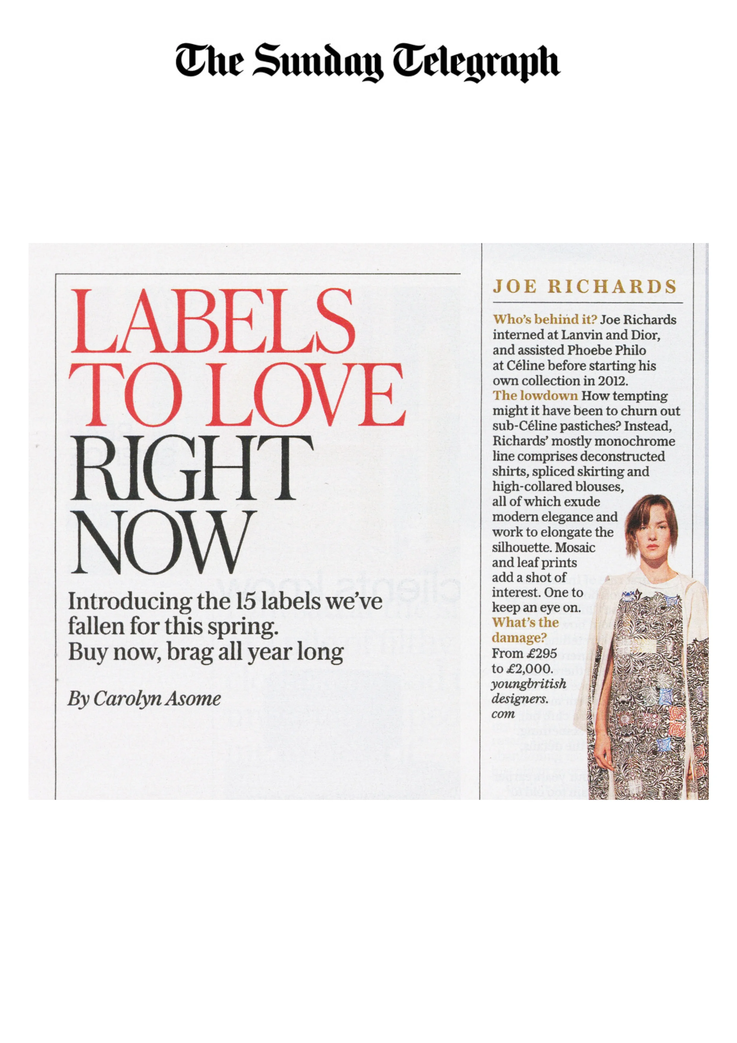 <center>The Sunday Telegraph, Stella — 20 March 2016</center>