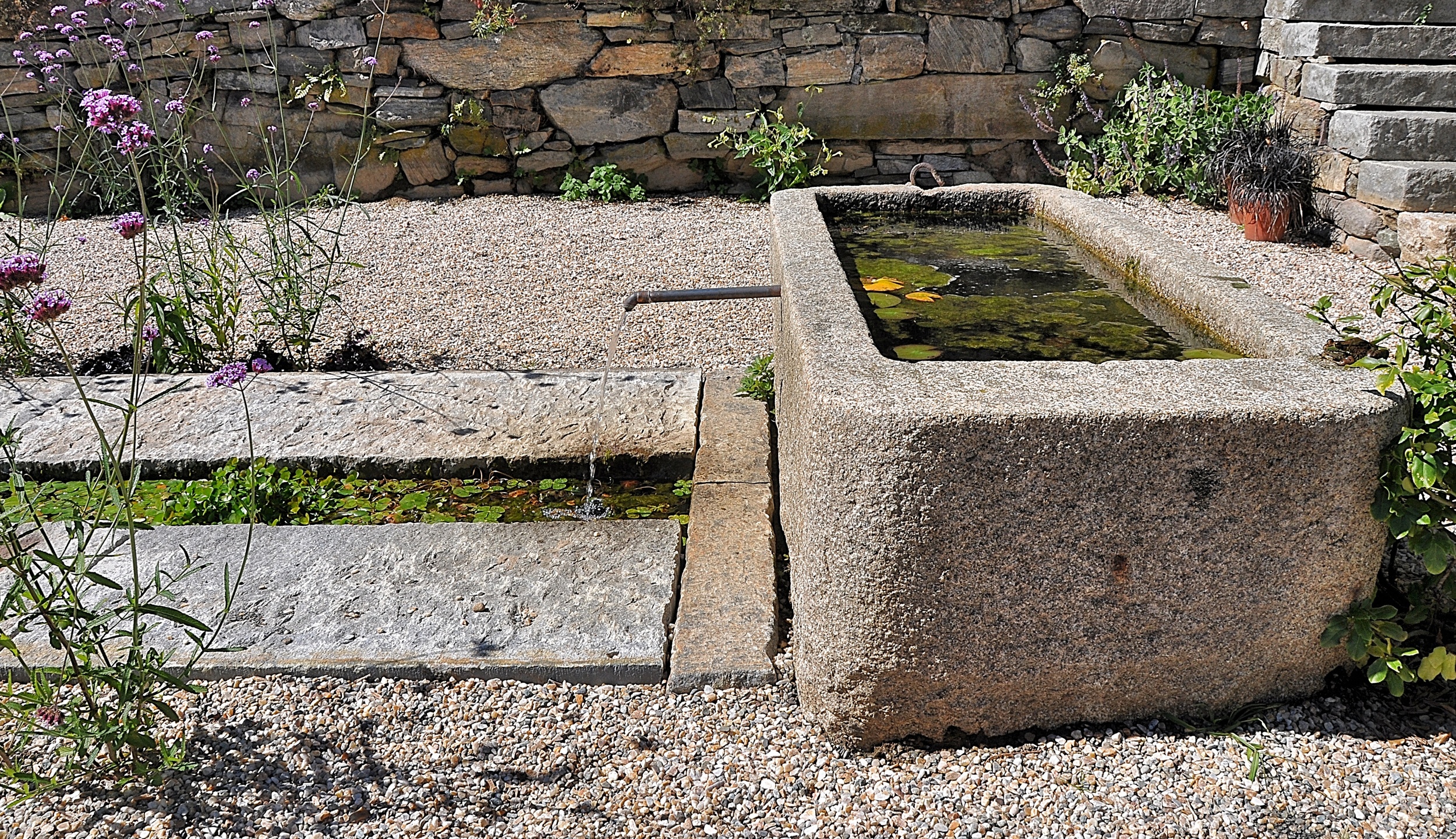 DPC_GARDEN1.jpg