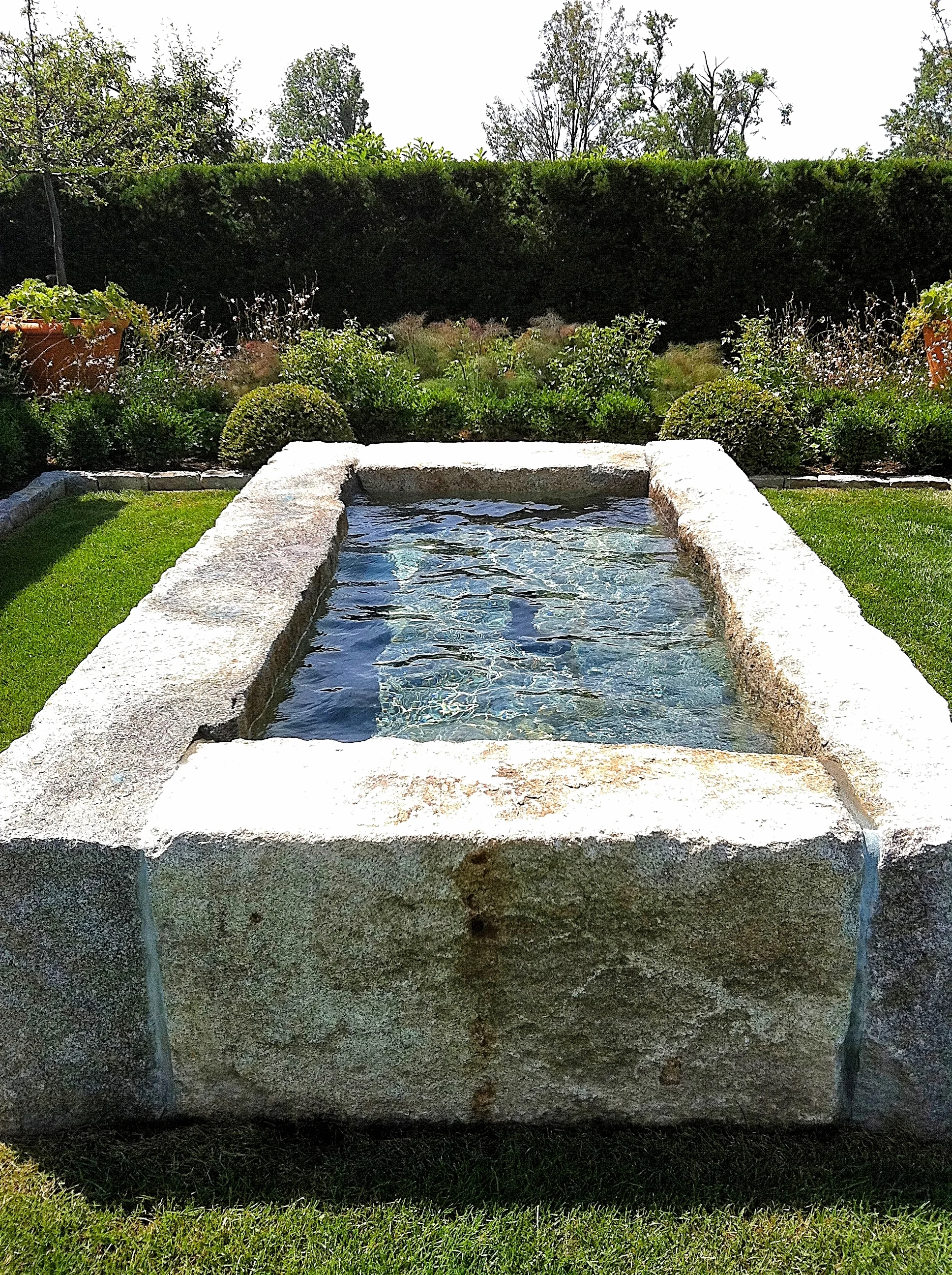 DPC_GARDEN3.jpg