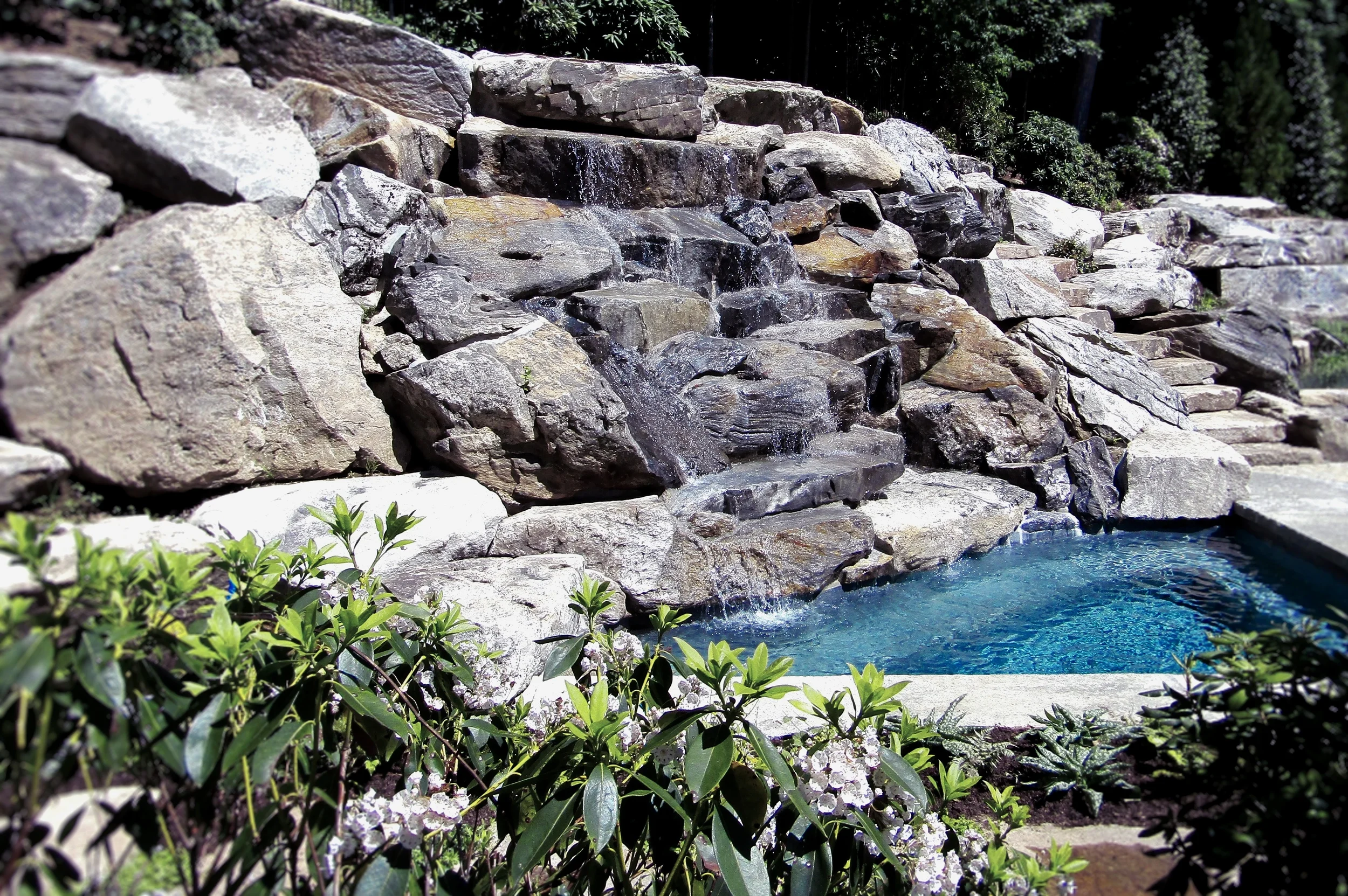 DPC_GARDEN5.jpg