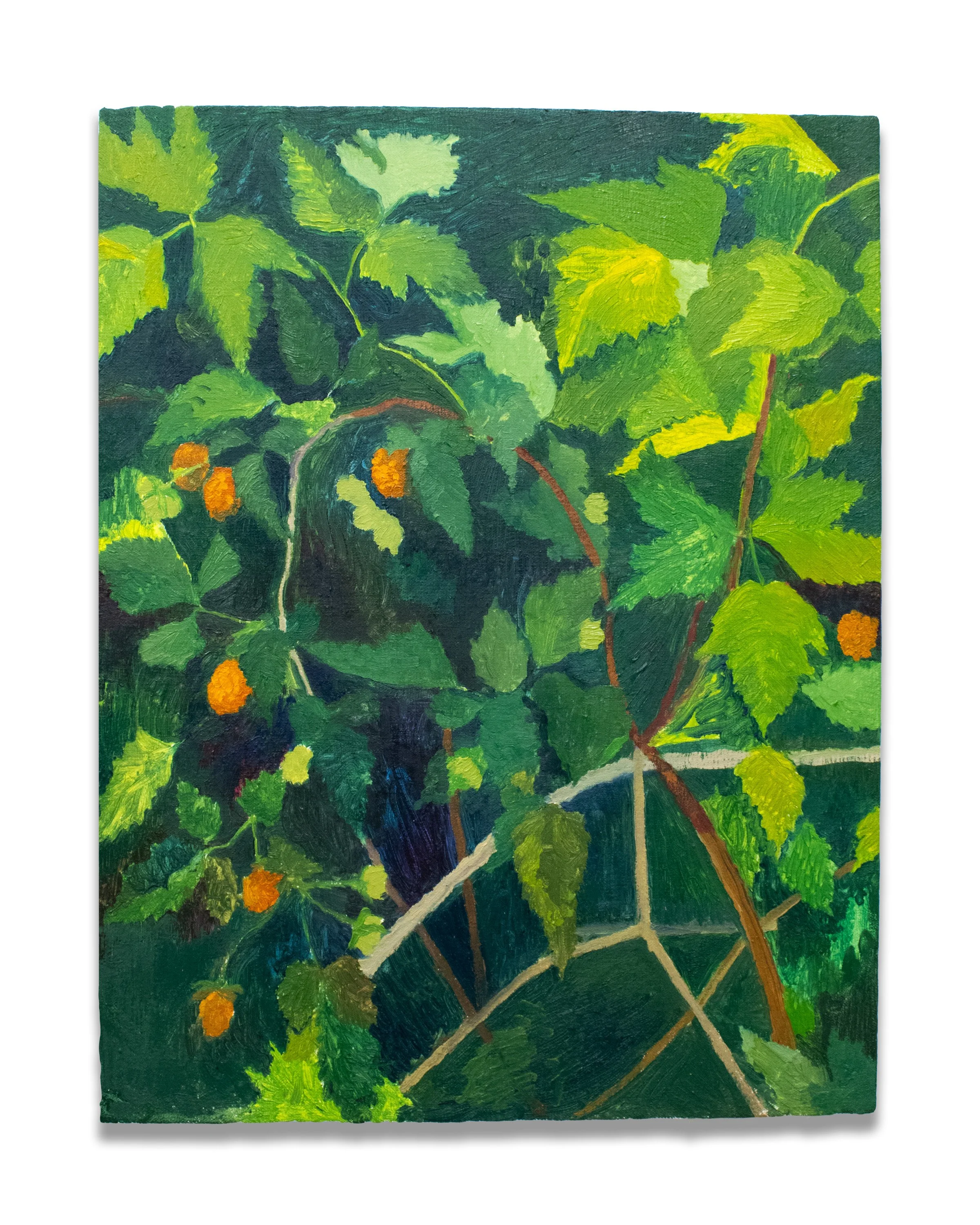 Raspberry Bush 10.20.25.jpg