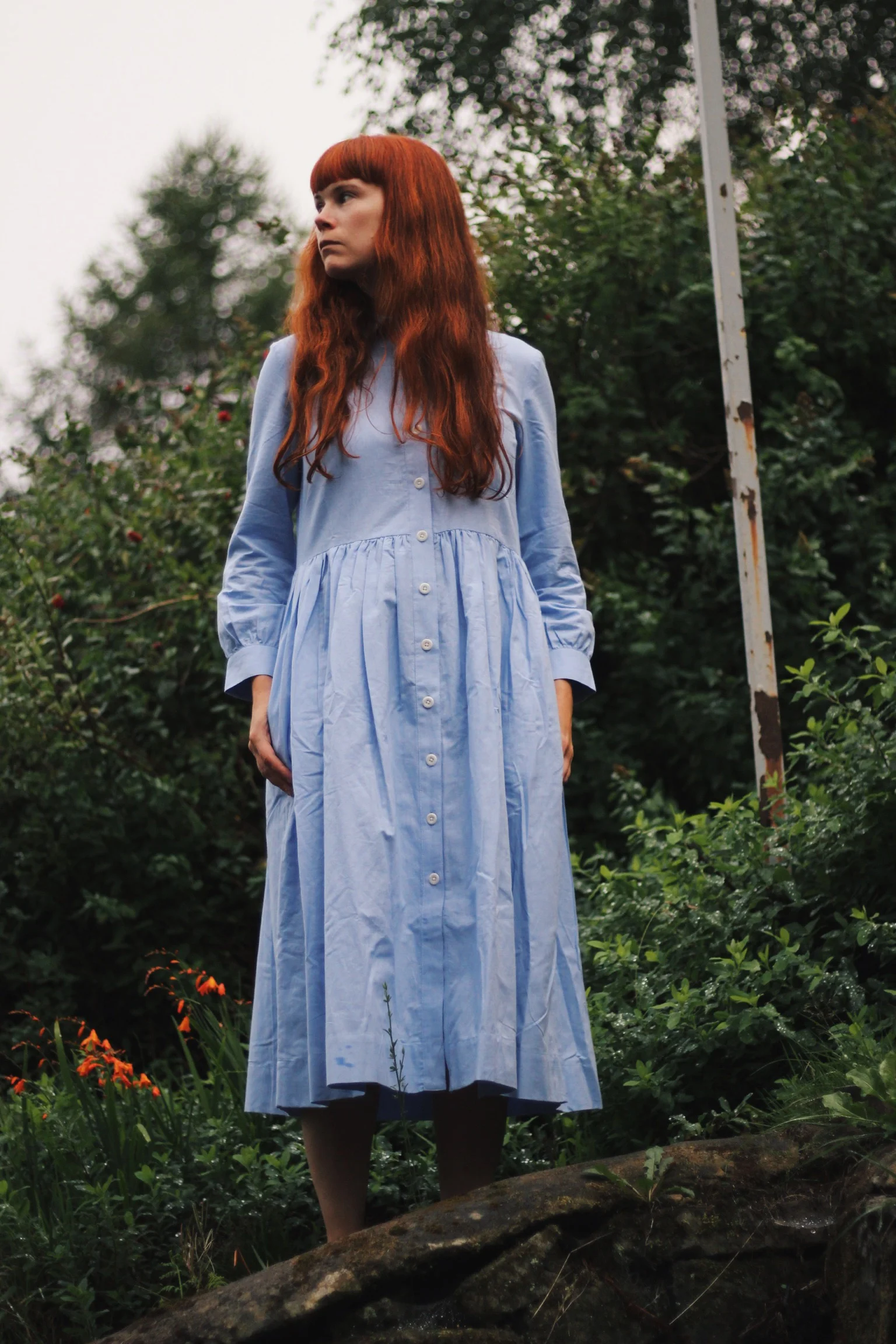 toast denim shirt dress