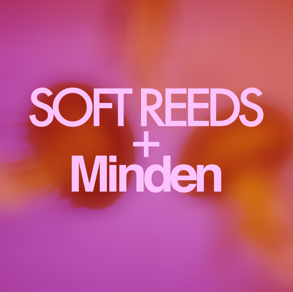 Soft Reeds - Minden