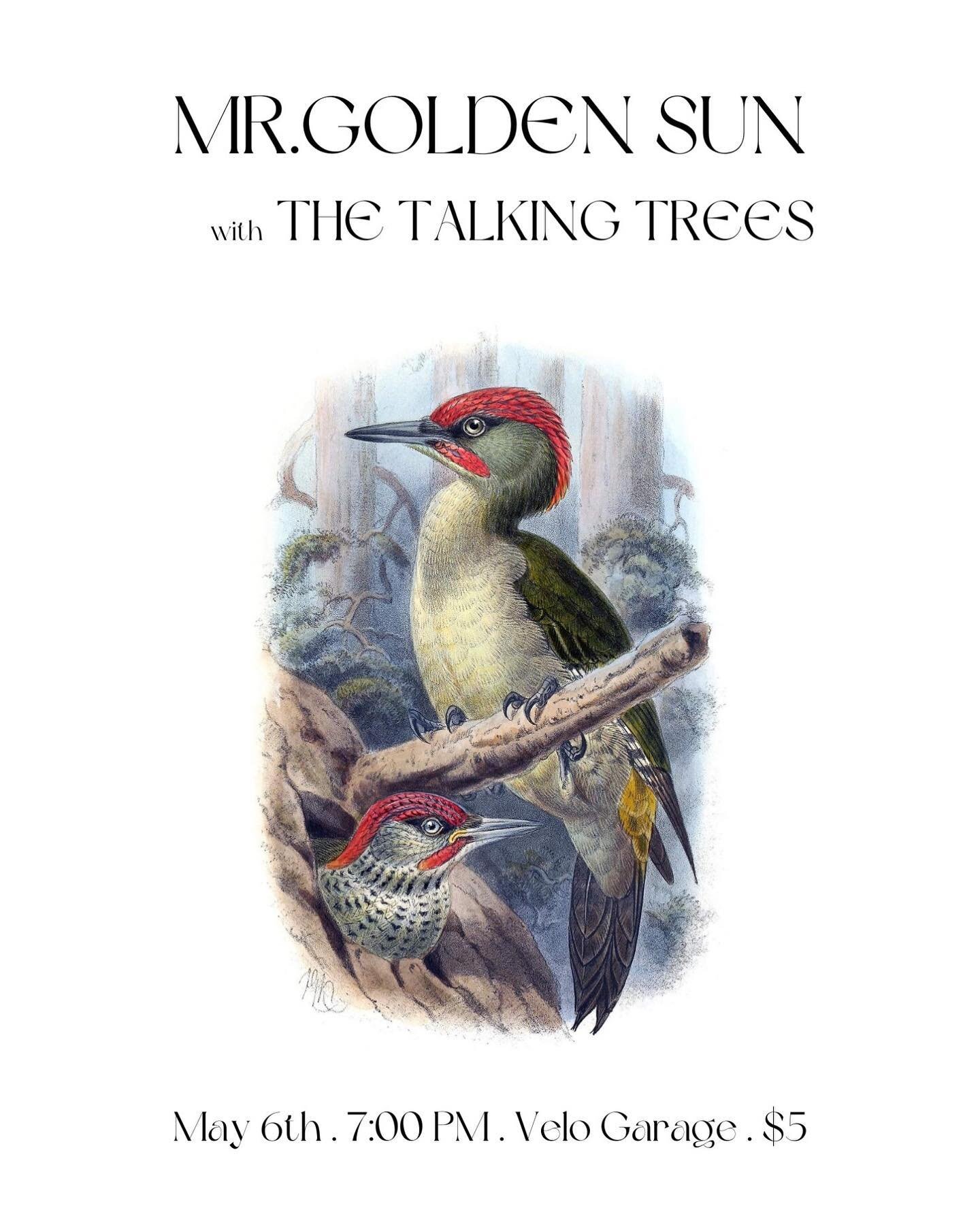 Saturday is the next installment of Backyard Concert Series at @velogaragekc with our friends @mrgoldensunband and @thetalkingtreesmusic. It should be a really fun show and at only $5 it makes for a cheap date. Hope to see you out!