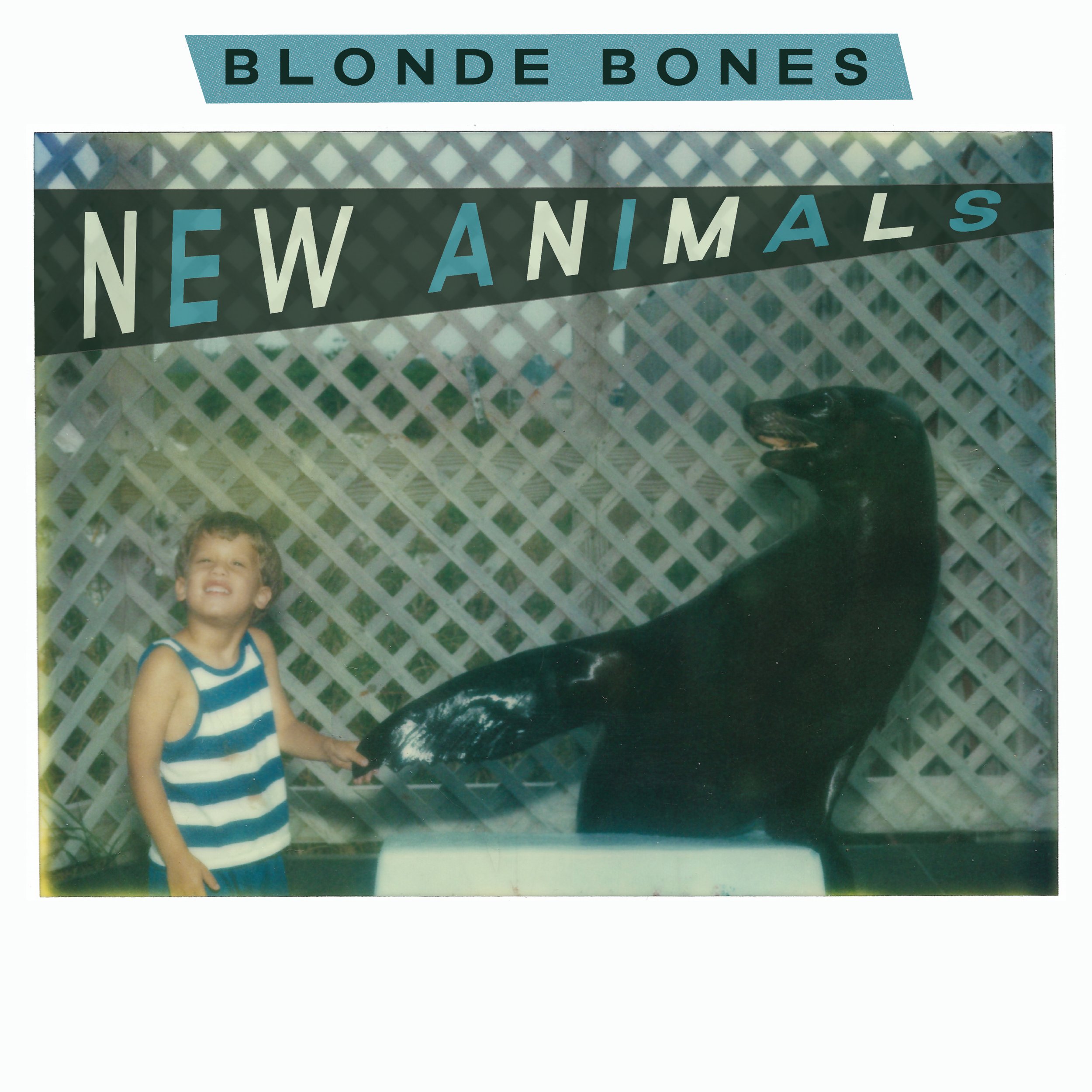 Blonde Bones - New Animals