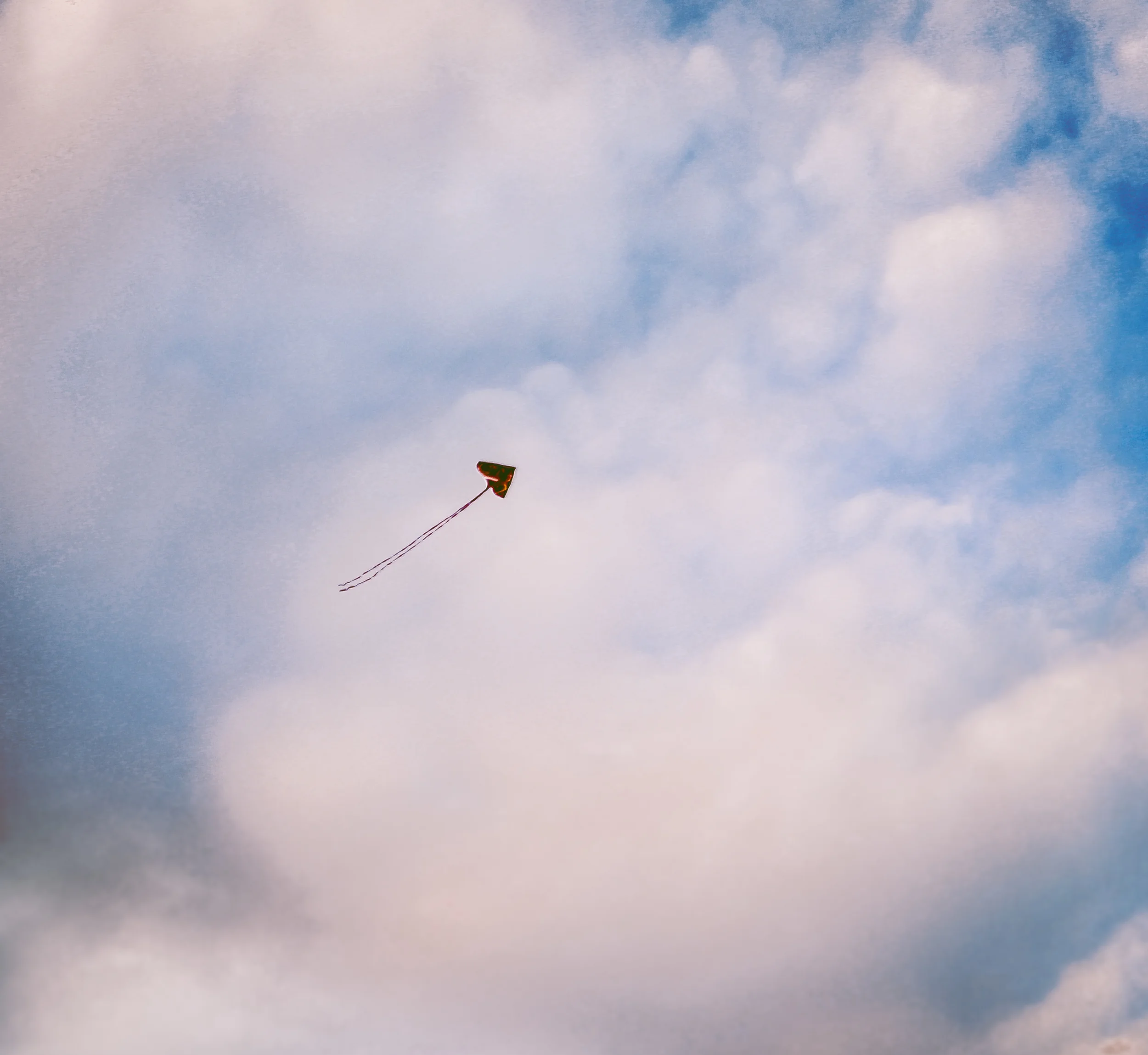 A lonely kite off Tybee Island, a favorite spot for my family in the summer. 