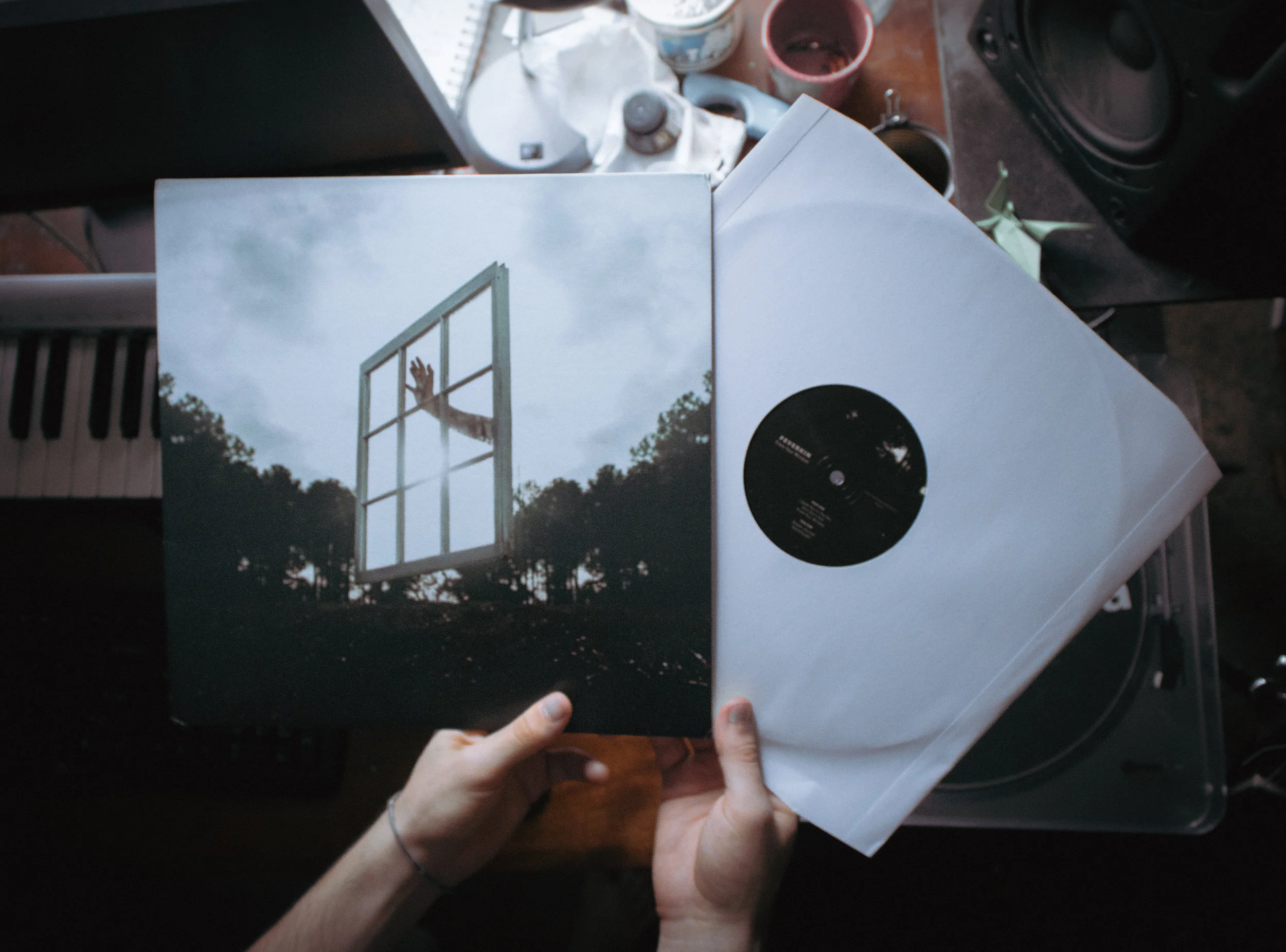 Vinyl in my own hands.jpg