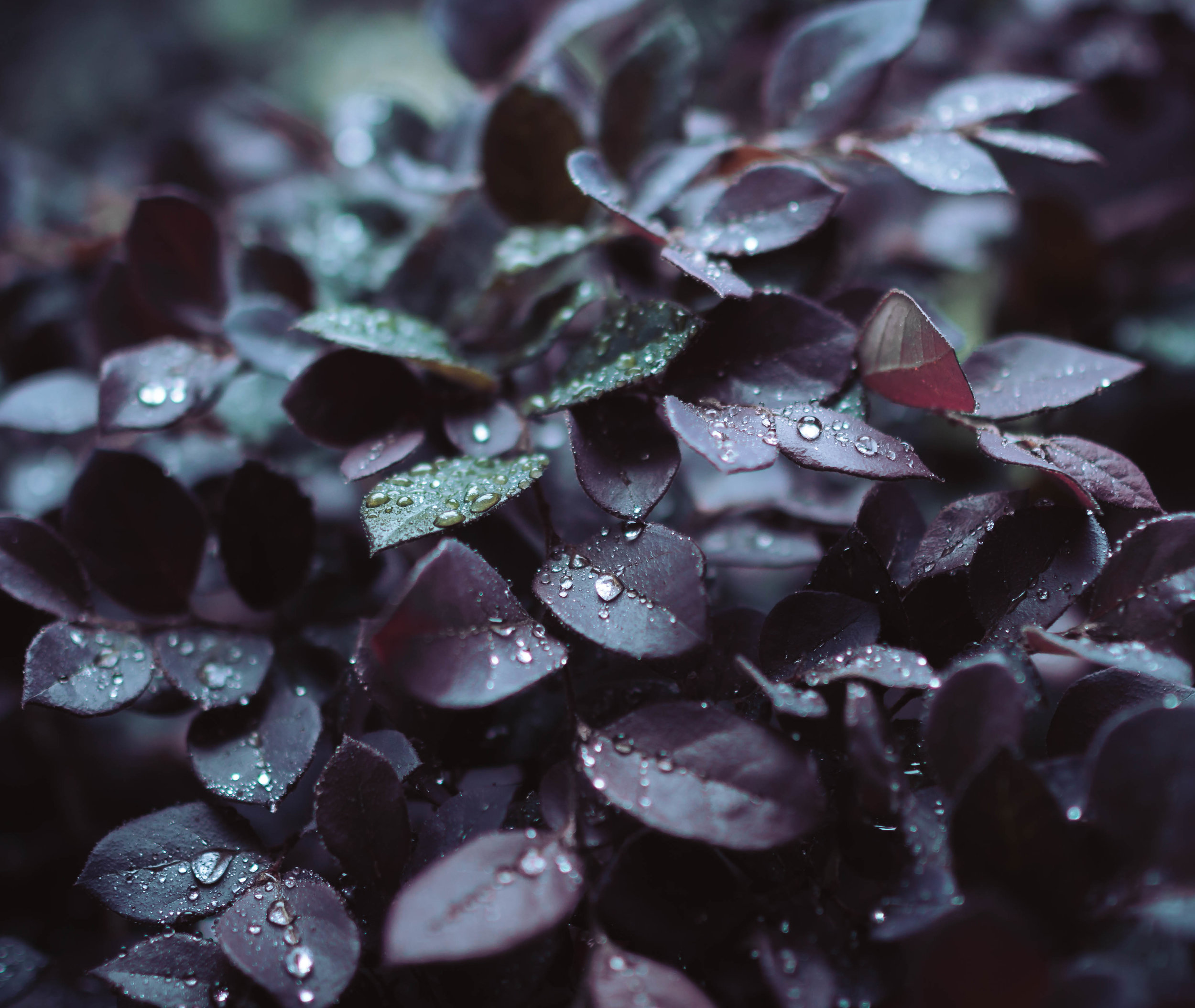 Moody Yard.jpg