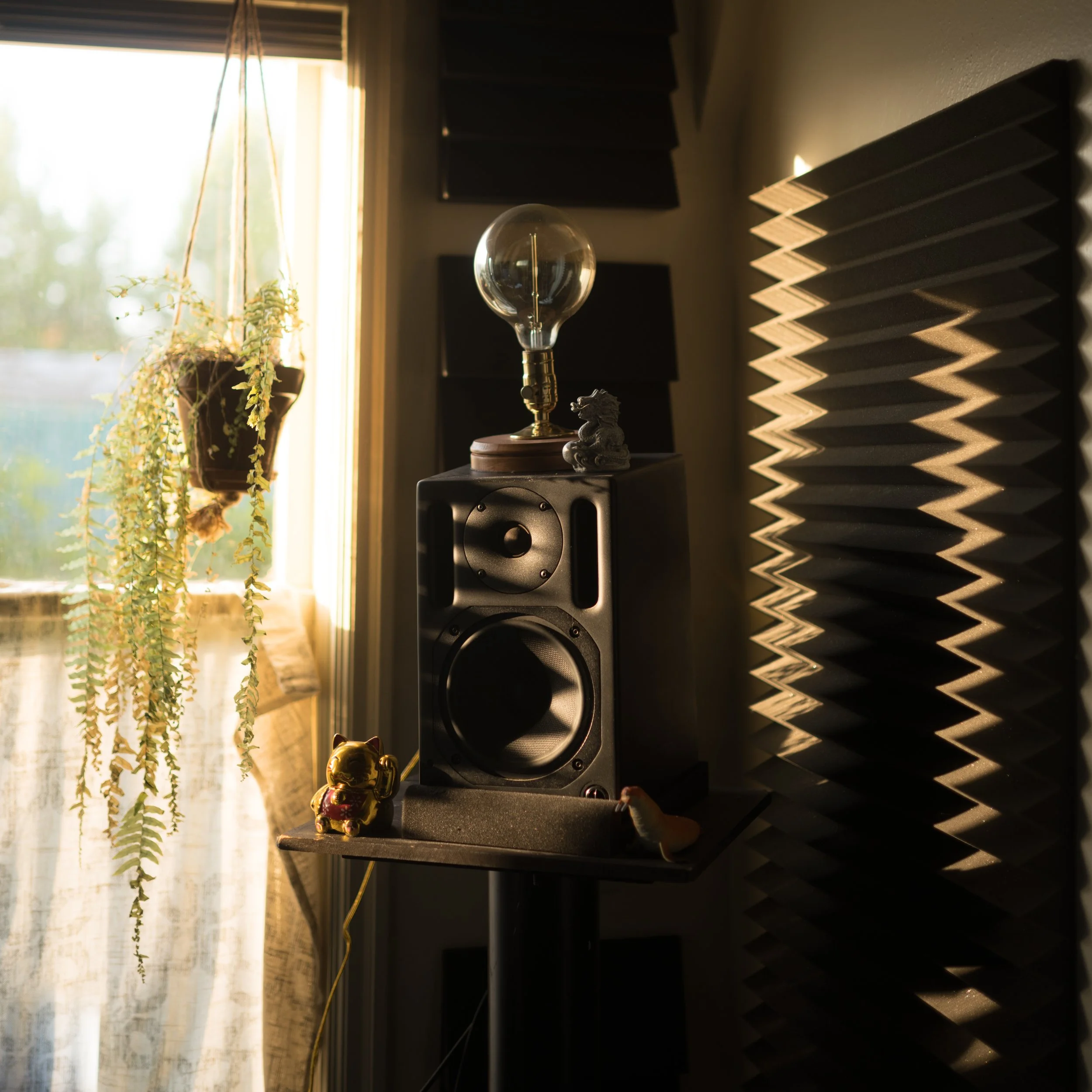 Speaker Golden Hour.jpg