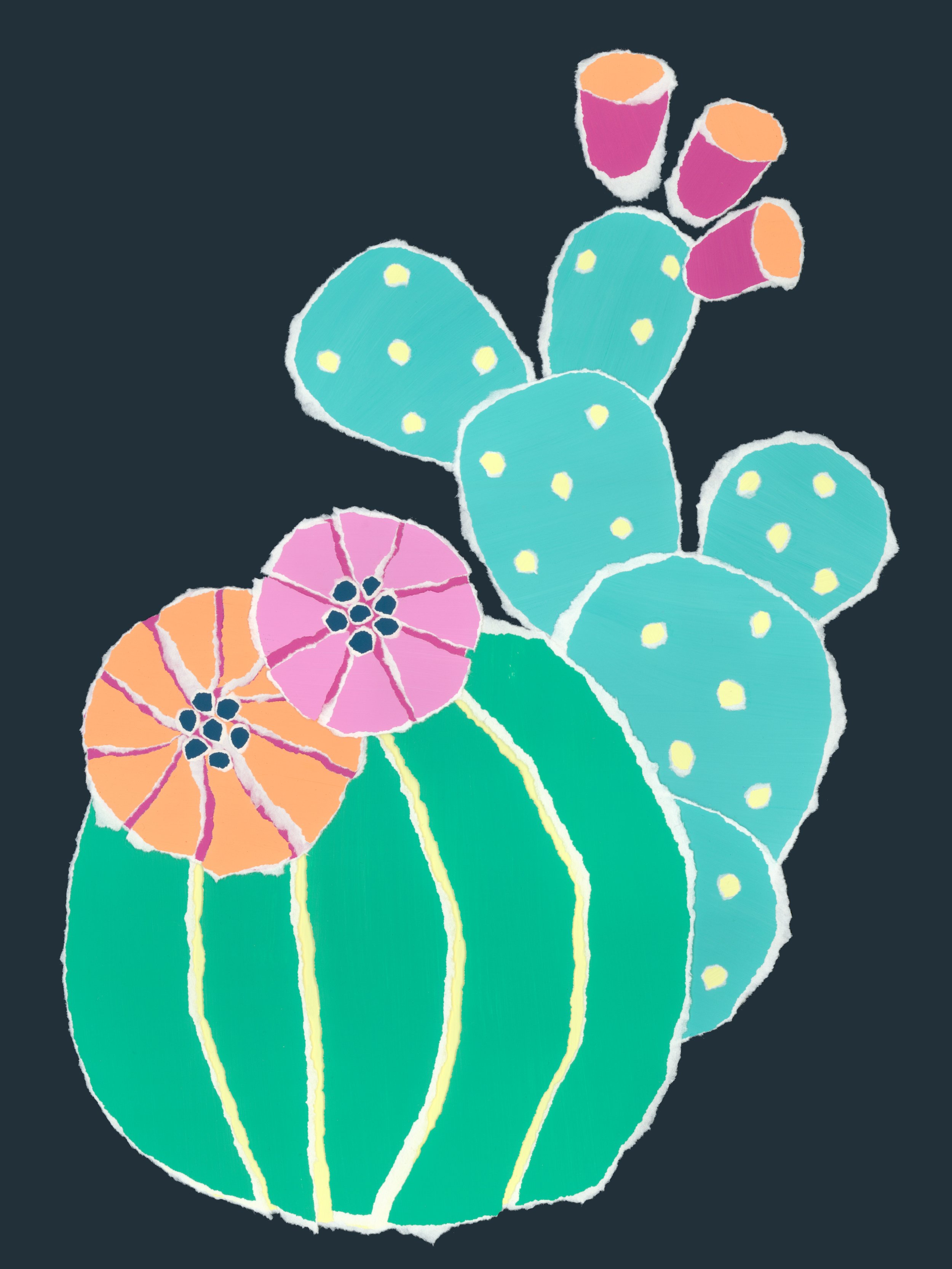 Cactus.jpg