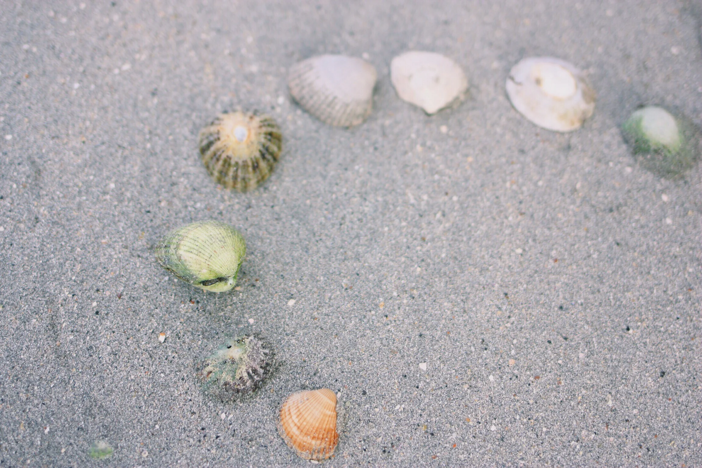 Processed with VSCOcam with c1 preset