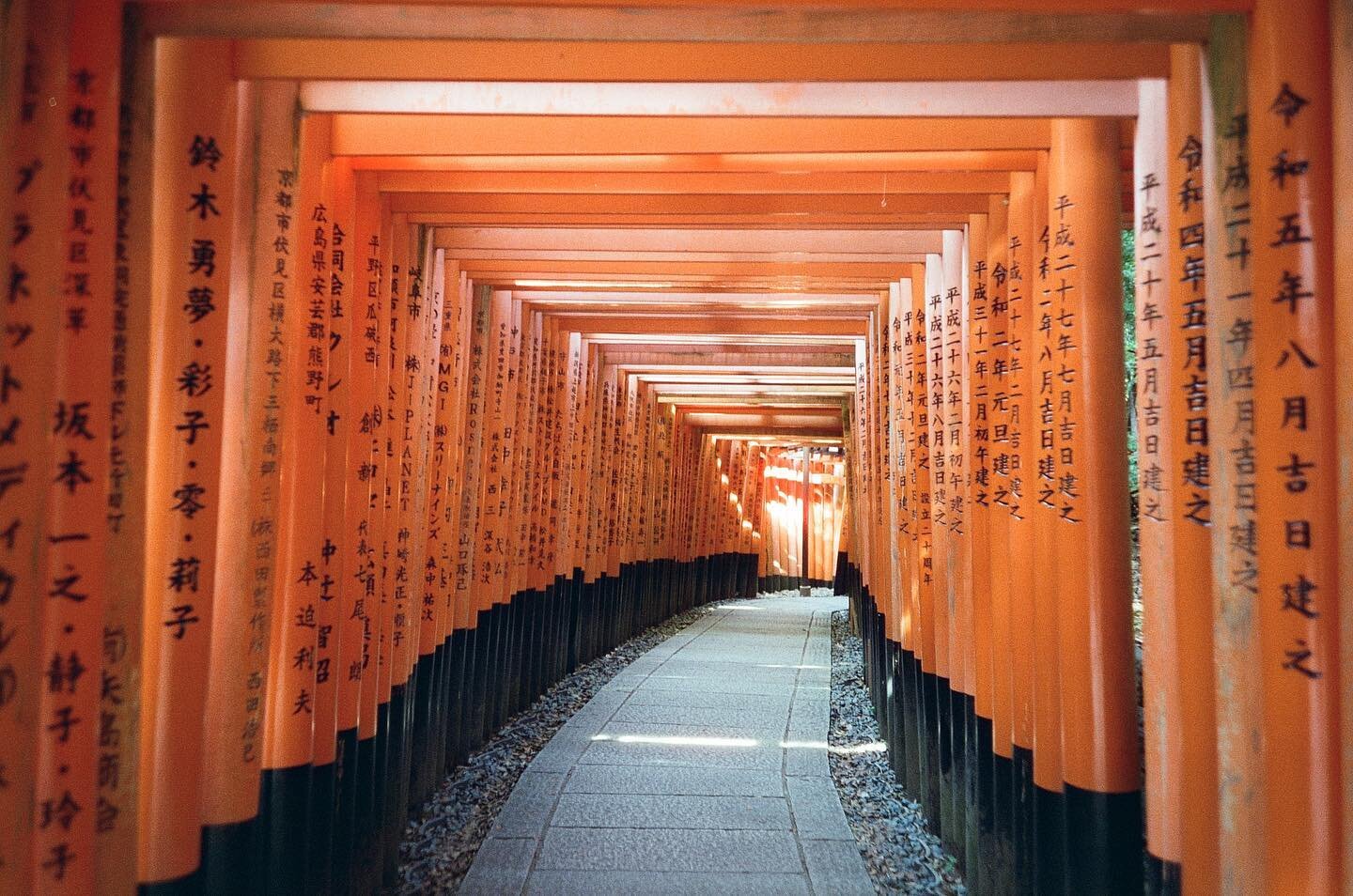 Some Japan on film snaps (wide edit)
1. 1000 torii gates
2. Protectors
3. A study on passage ways
4. Kyoto gratitude
5. Sake x sake
6. Osaka castle
7. Lookout
8. Biiig crab friend
9. Omw (Yayoi Kusama)
10. A lil city meets a lil tradition
#filmisnotd