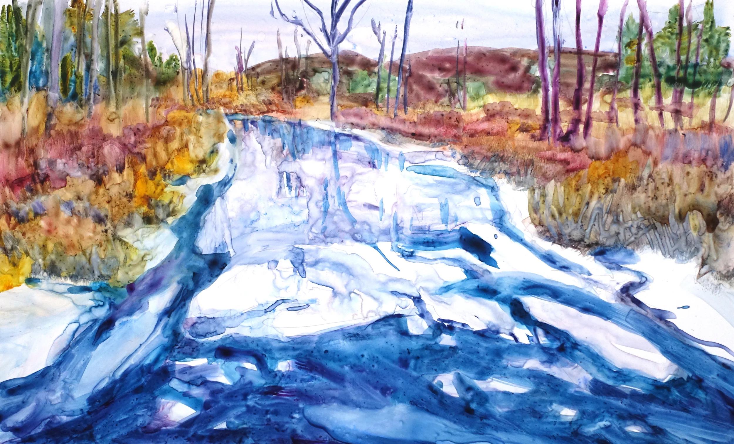 The Swamp Freezes