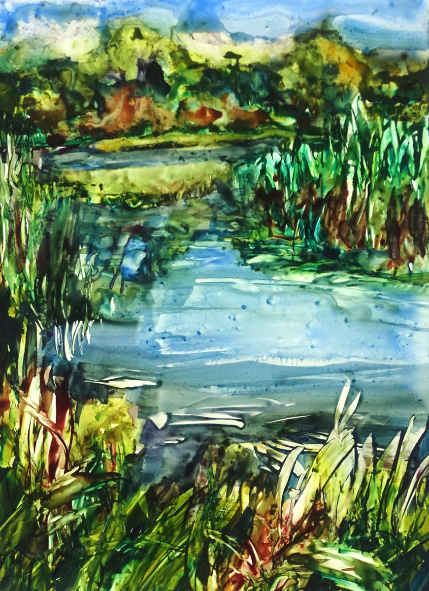 This one is "wetlands."