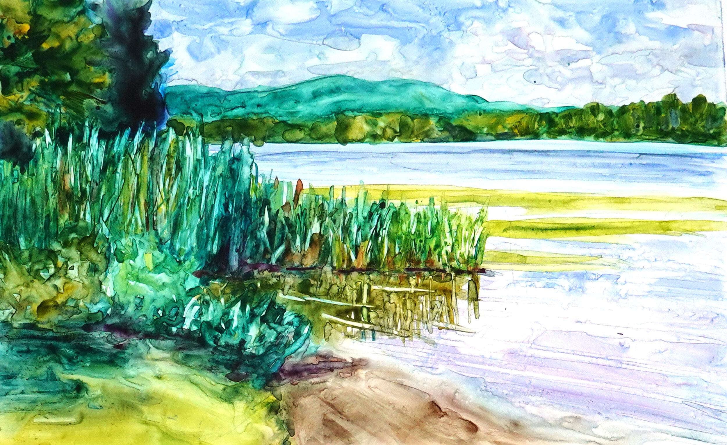 June: Lake Reeds