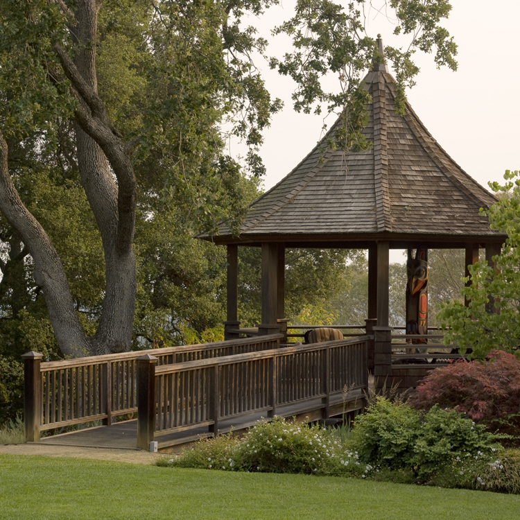 20080626_Cole_03.jpg