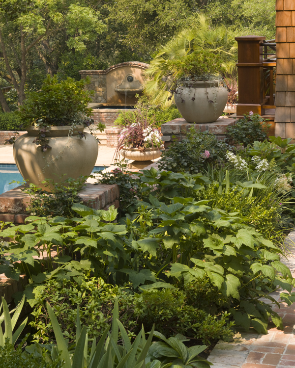 20080626_Cole_14.jpg
