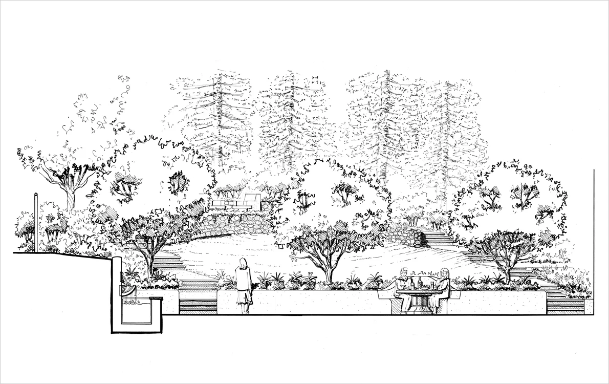 Courtyard and Open Lawn Area.jpg