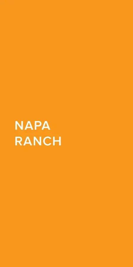 napa_project-title-box.jpg