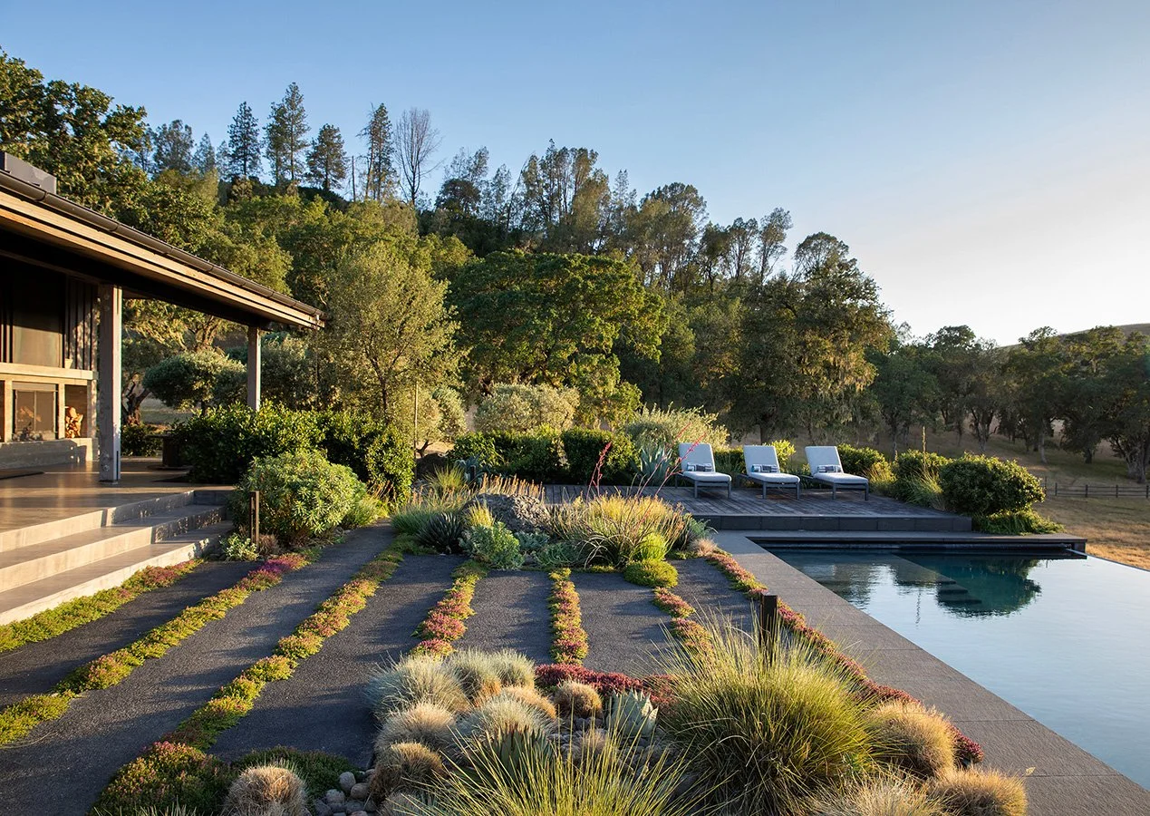  The landscape design emphasizes fluid movement, layered planting schemes, and a refined material palette to enhance the built environment. Modern edges are softened through planting, creating a juxtaposition of organic and structured forms that brin