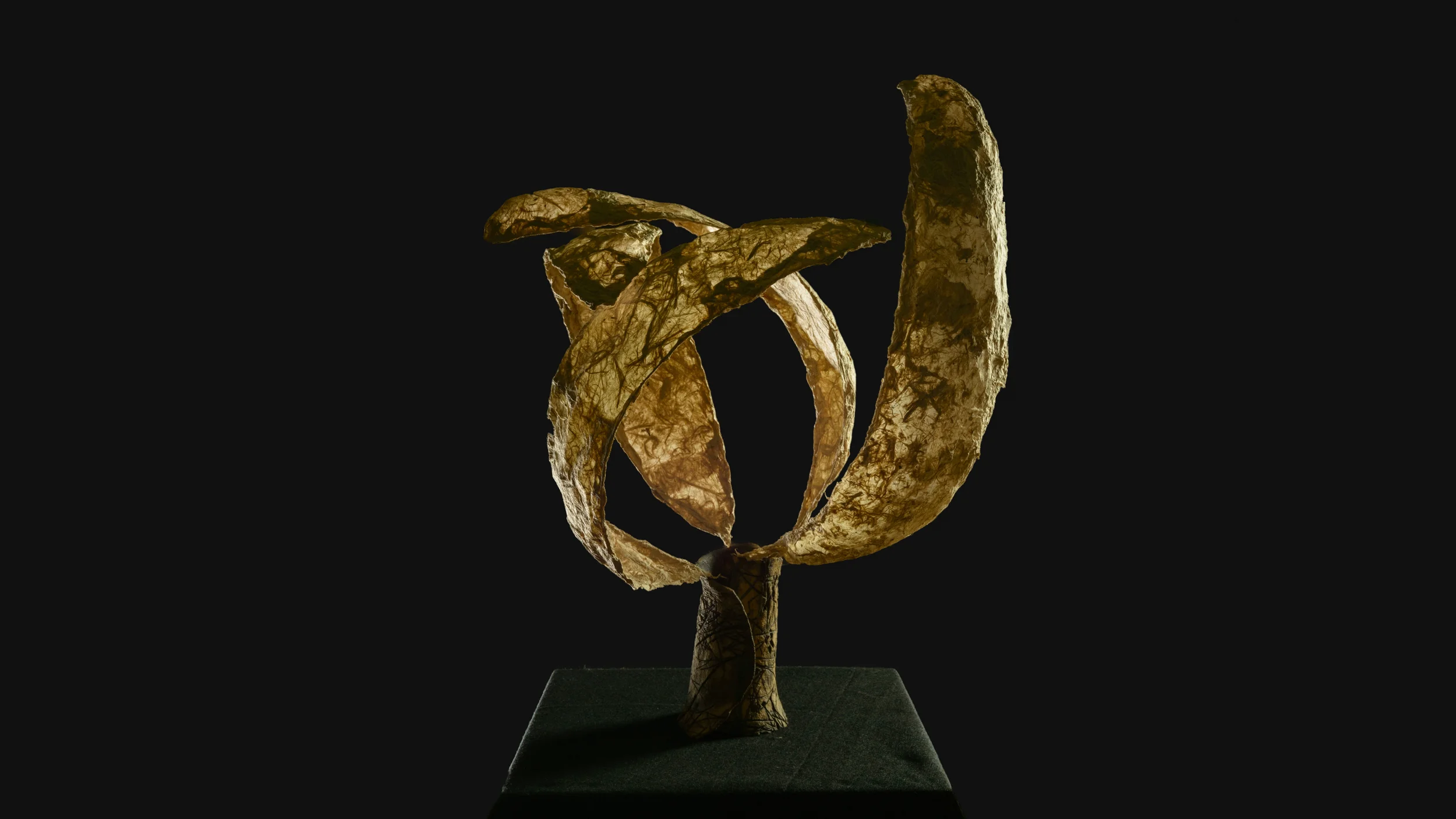 Succulent Pod-Gampi,clay.jpg