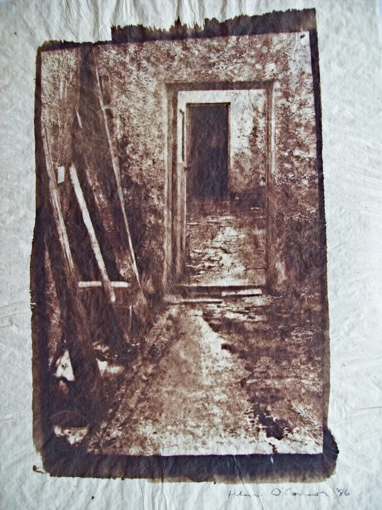 Willie's House