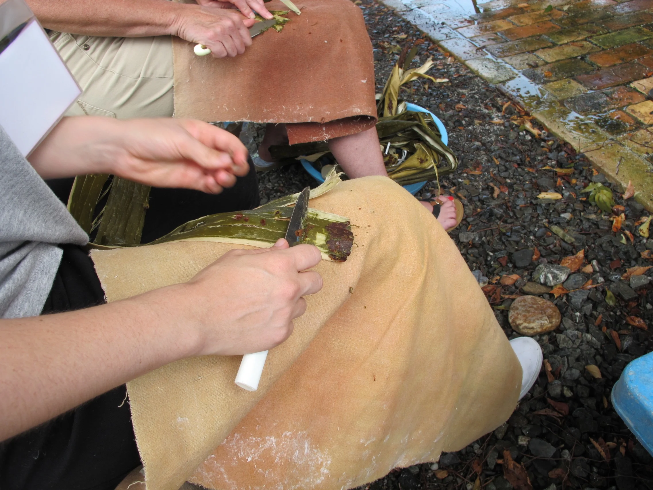 Scraping the outer bark