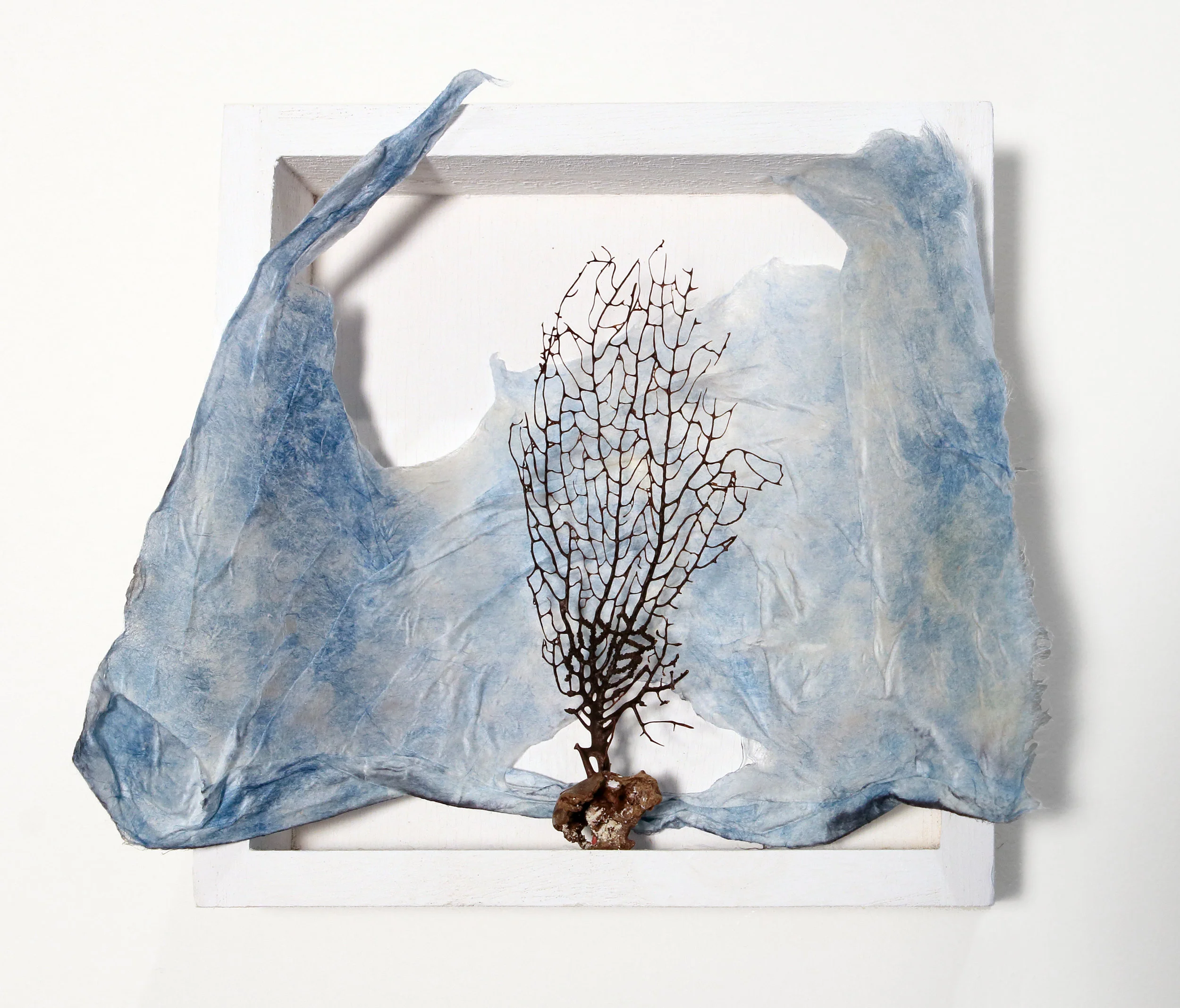 Cherished Box, found natural object cradled in cyanotype printed handmade Kozo paper, 8"x8"