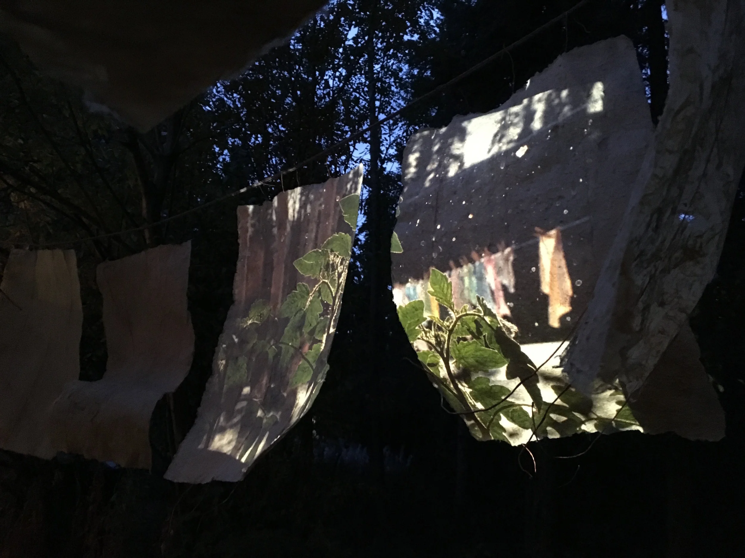 01_Weathergrams:Theatre in the Bush.jpg