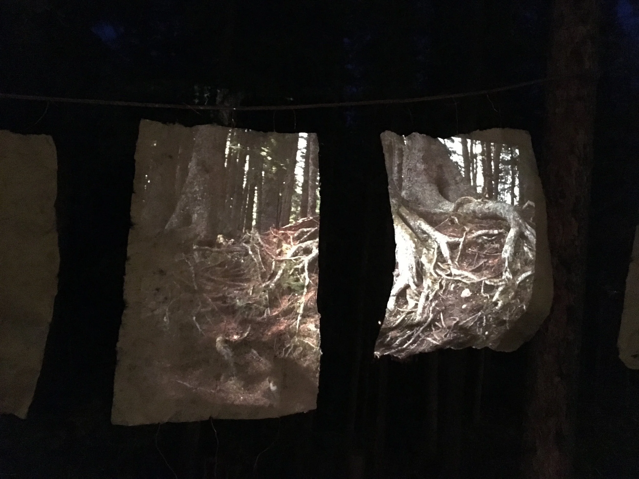 Slide projections Roots on Kozo at Theatre in the Bush, Sept 2018