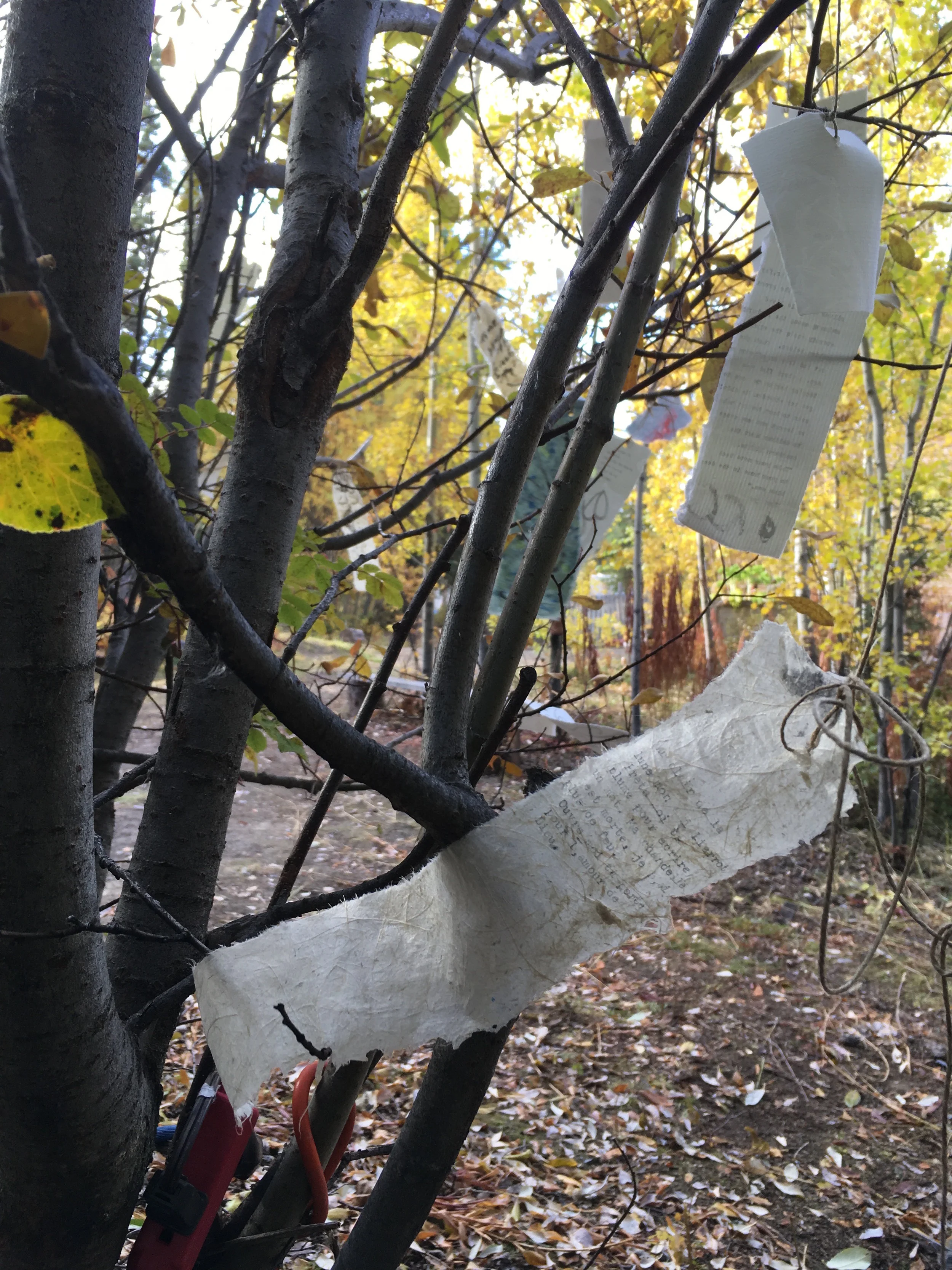 Weathergrams getting weathered - Theatre in the Bush, Whitehorse, Yukon 2018