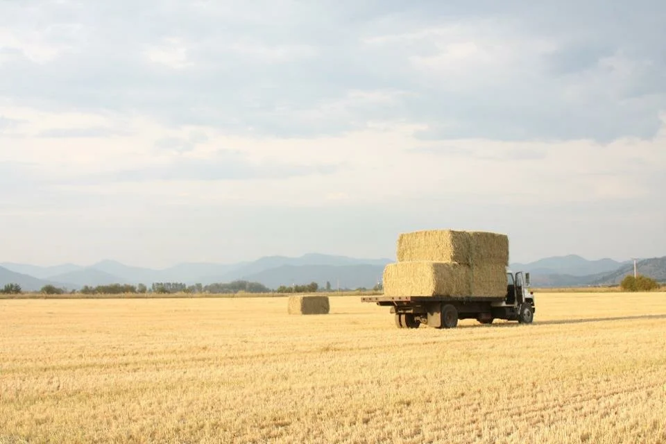 Hay Truck.JPG