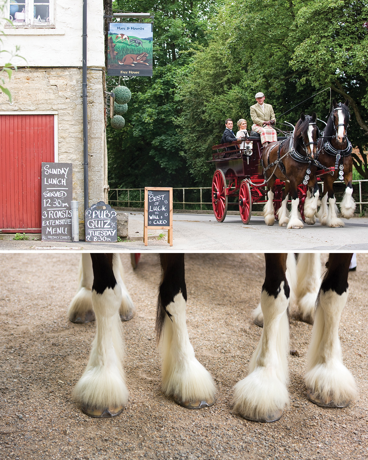 wedding-horse-drawn-carriage.jpg