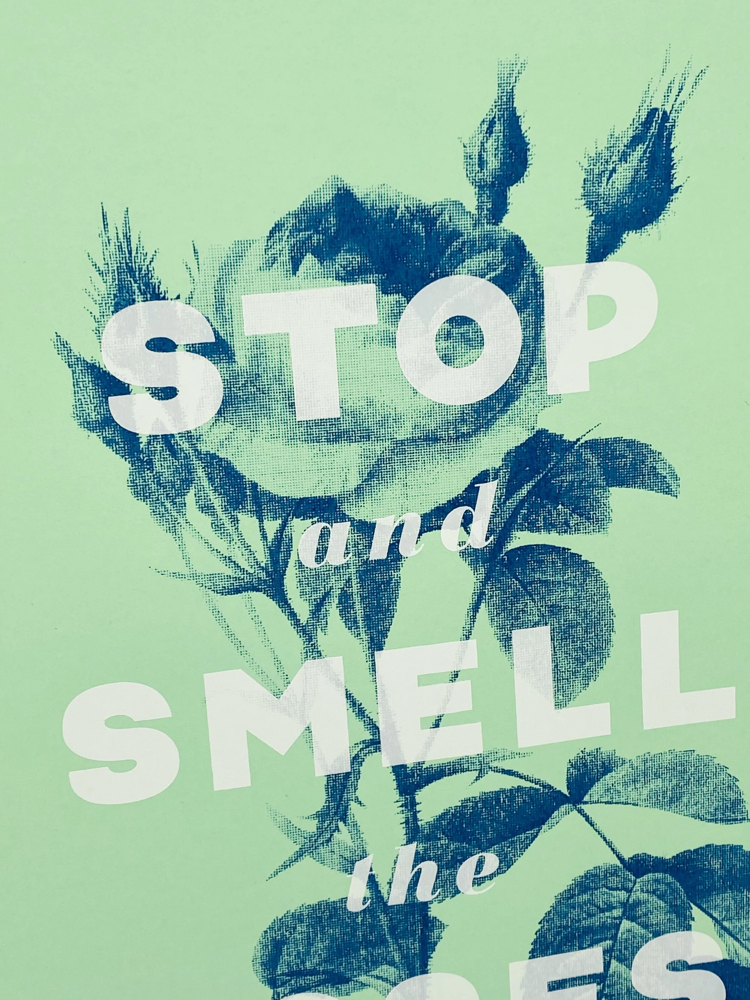 ROSES — Basil & Ford