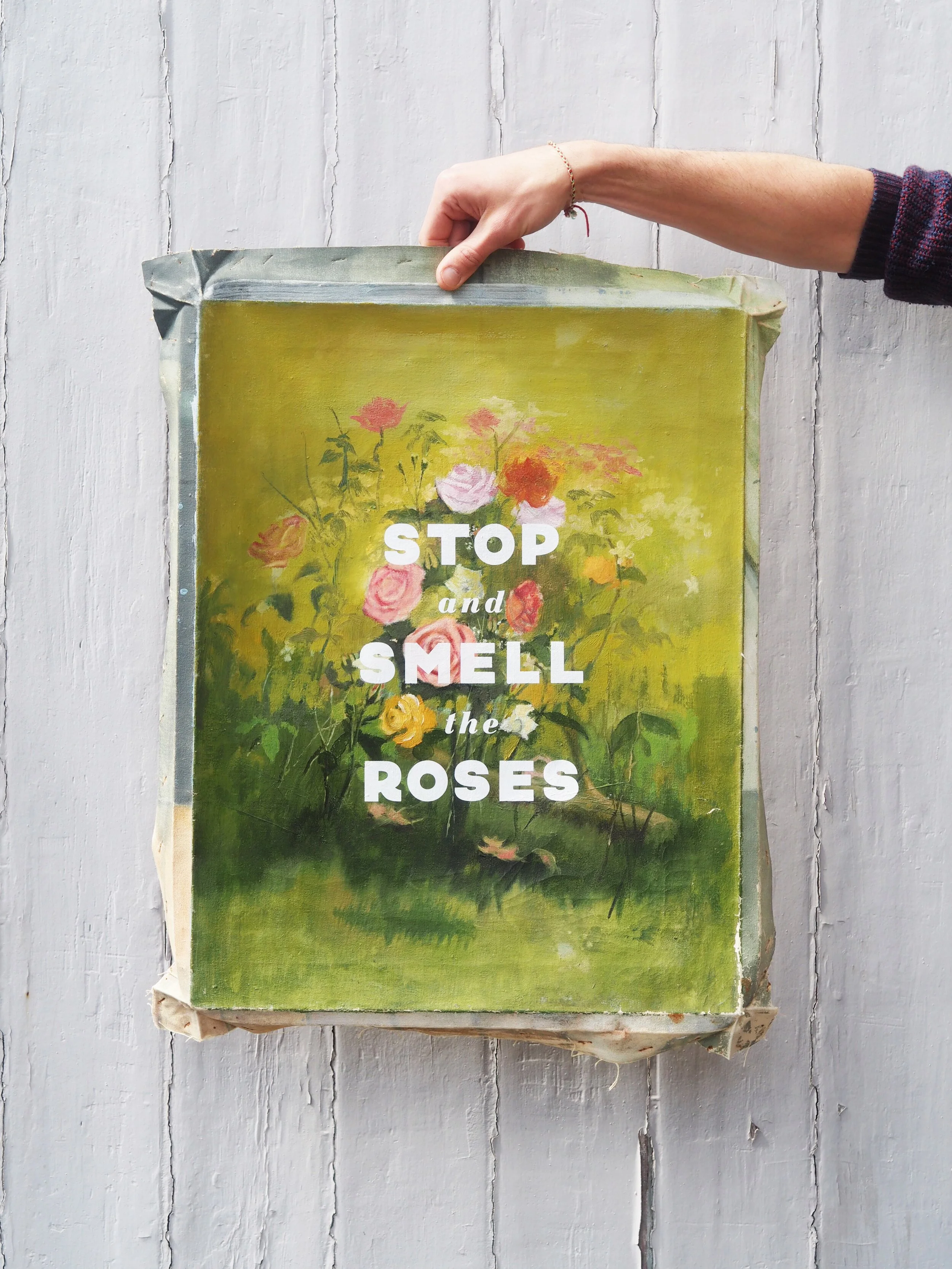 CANVAS PRINTS — Basil & Ford