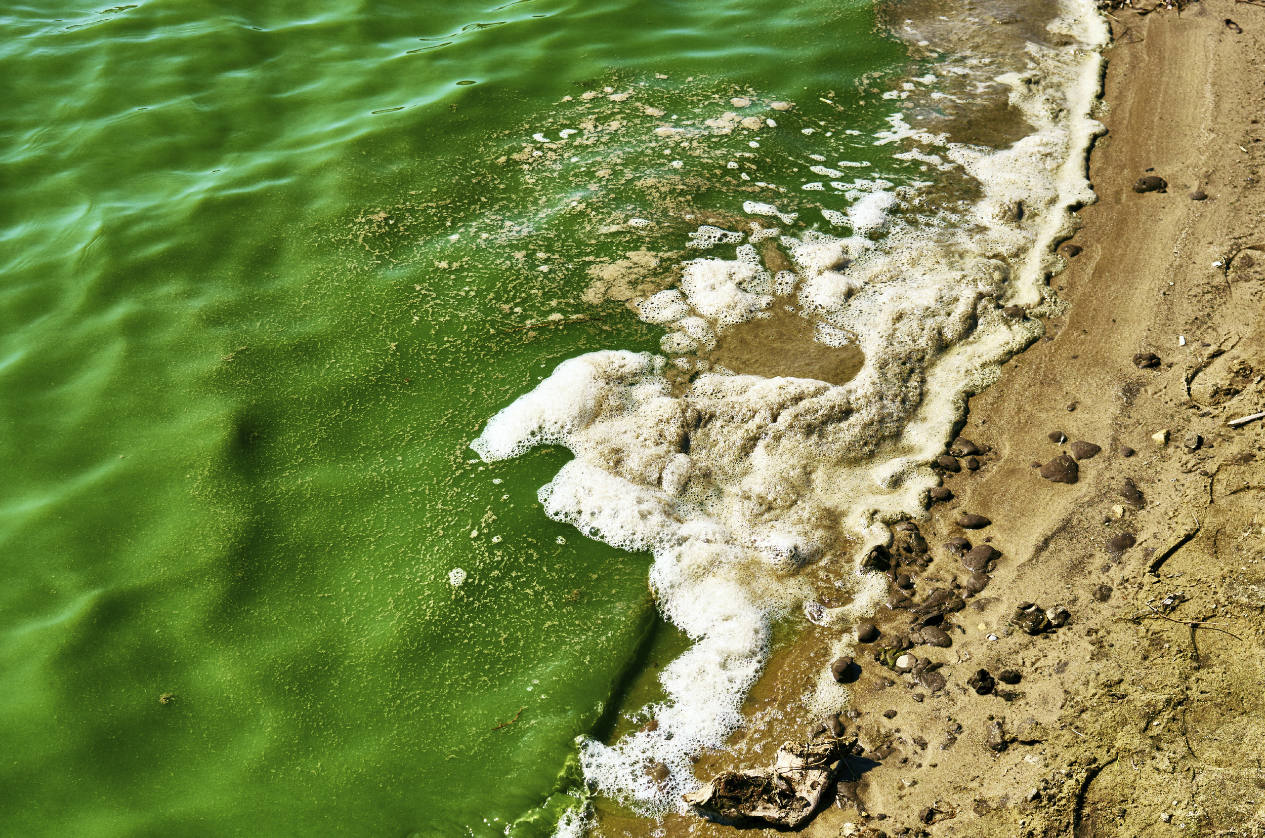 iStock_000055898664_Large.jpg