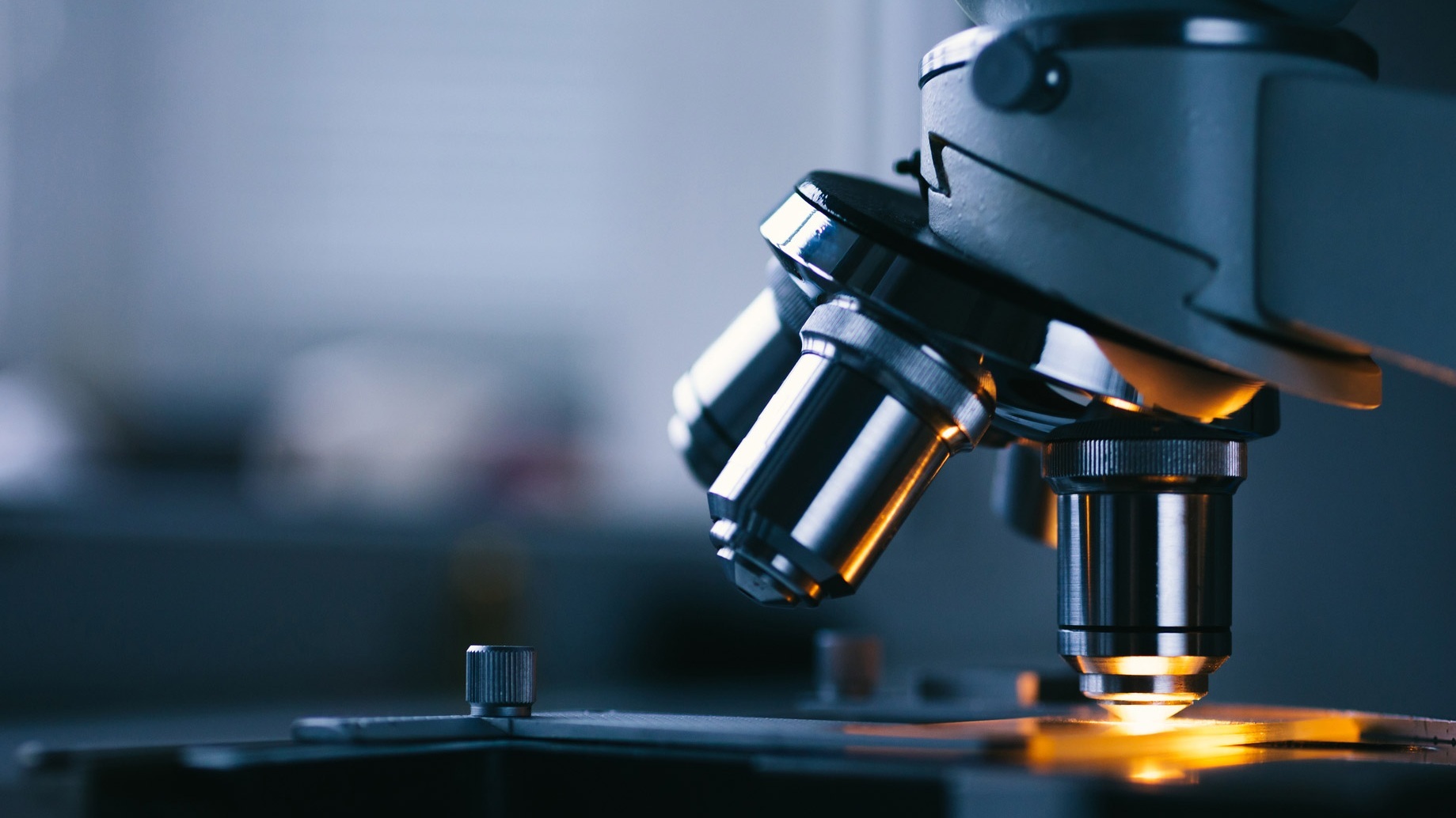 These findings have led to the initiation of FDA approved Phase-II clinical trials.