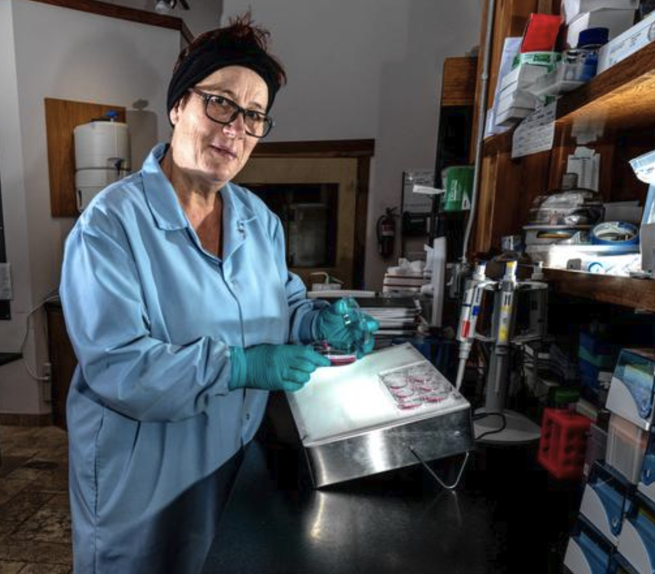 New ALS diagnostic blood test.