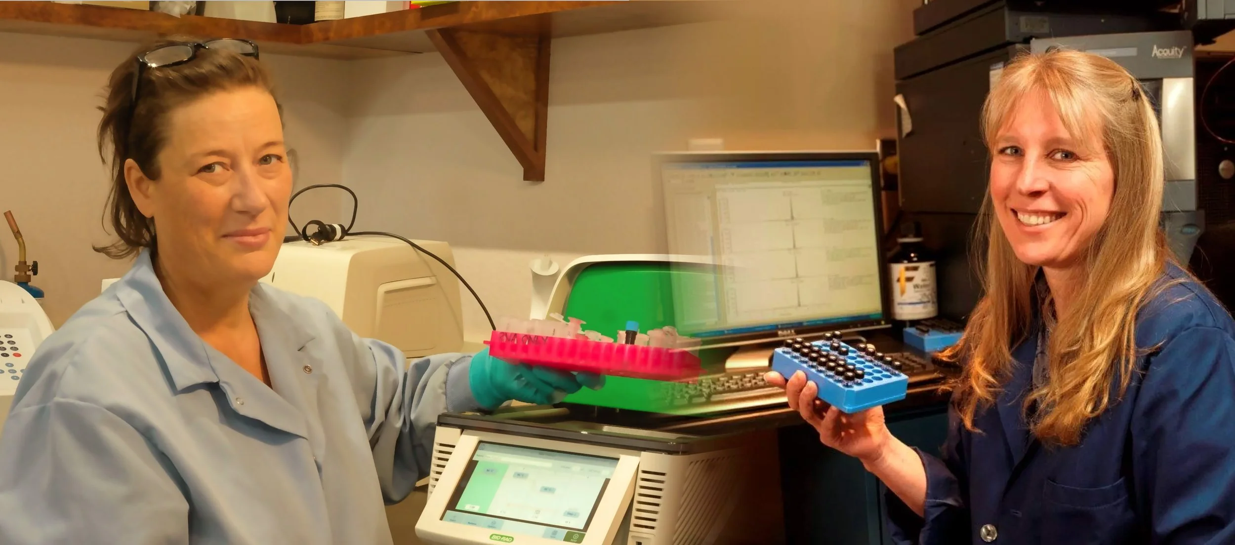  Dr Rachael &amp; Dr Sandra talk to NPR   LISTEN HERE  