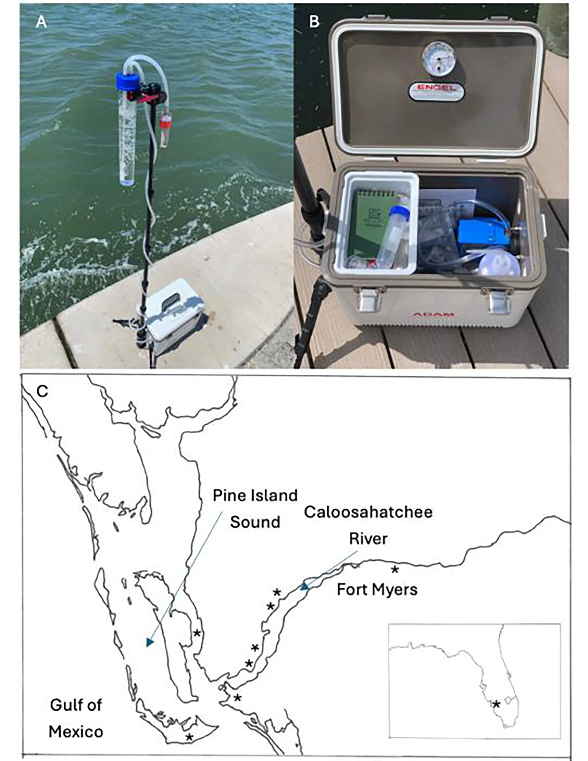 People may not need to touch Florida’s toxic algae blooms to be exposed; scientists found their toxins travelling through the air