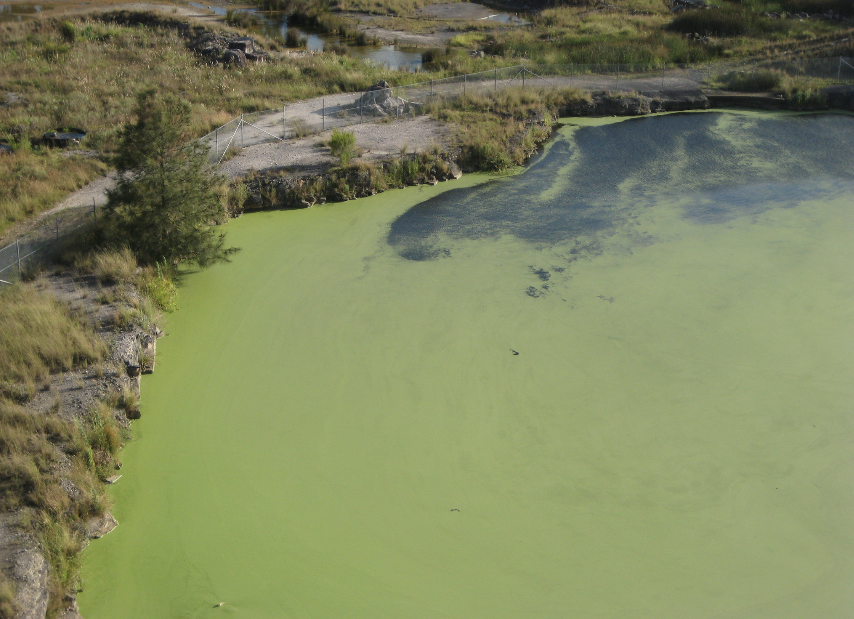 Toxins lurking in oceans now discovered to be airborne... posing dangerous health risk