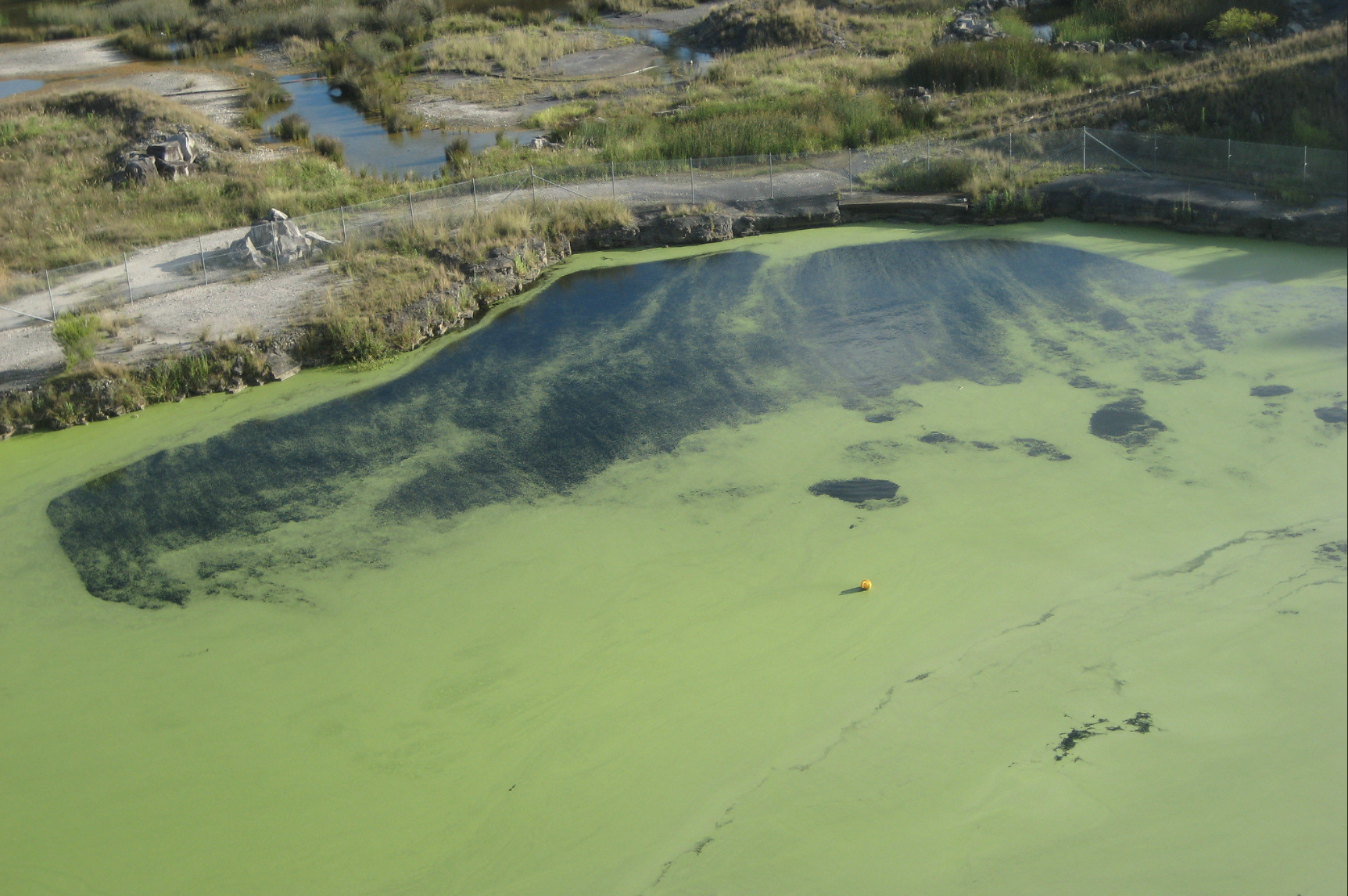 Toxins lurking in oceans now discovered to be airborne... posing dangerous health risk