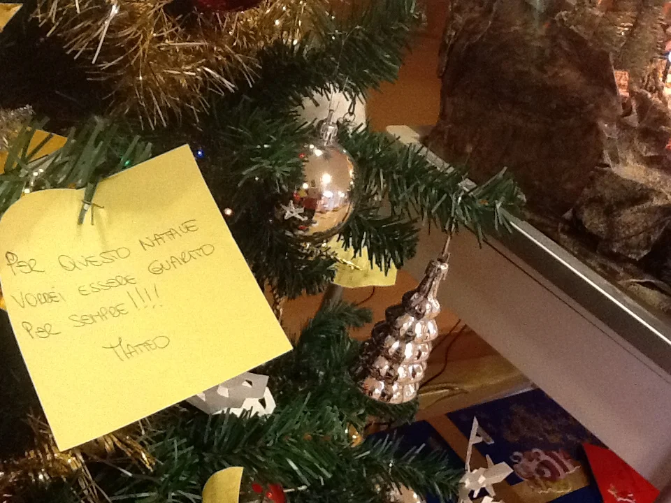 'For Christmas I want to be cured forever'