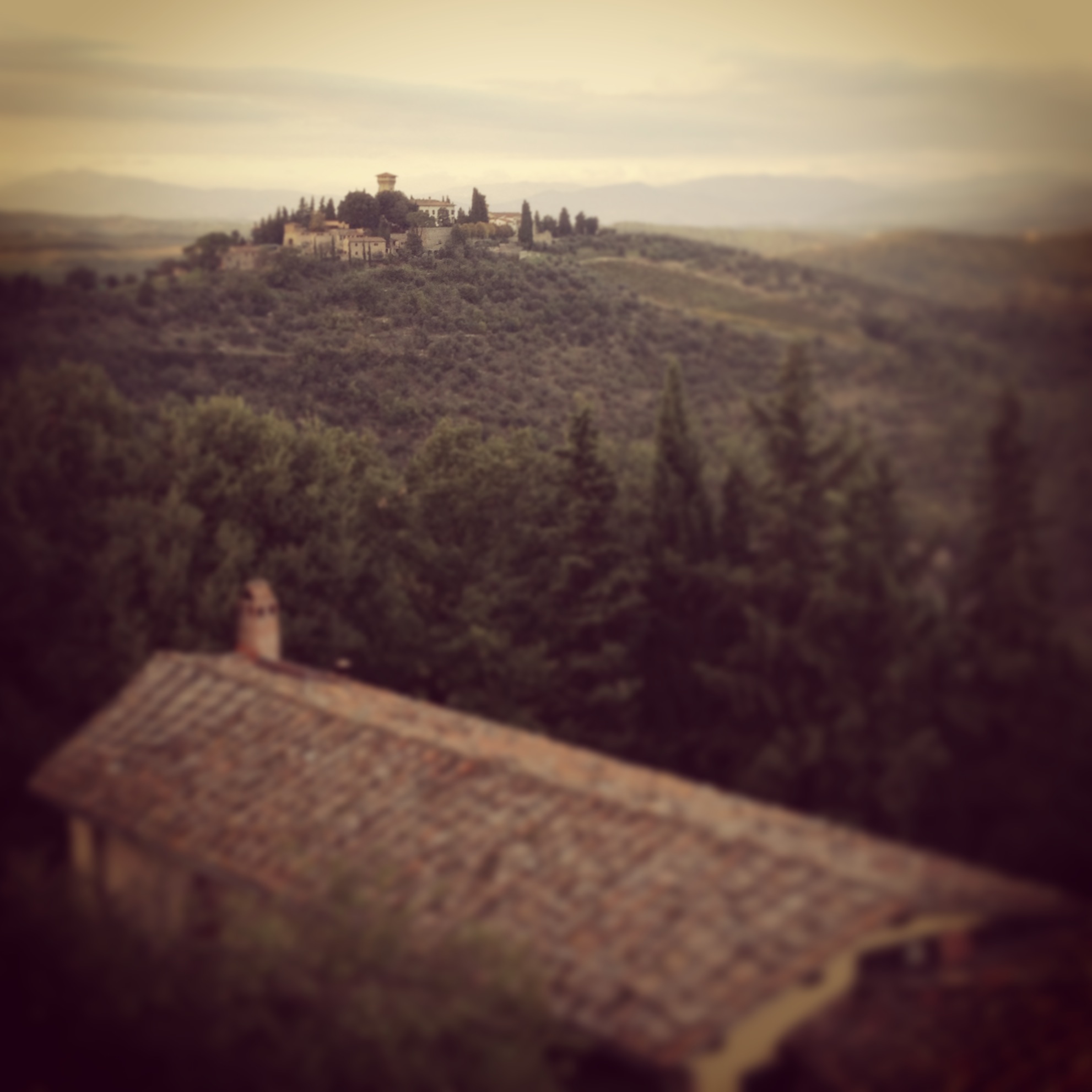 From the Castello di Verrazzano winery in Chianti.