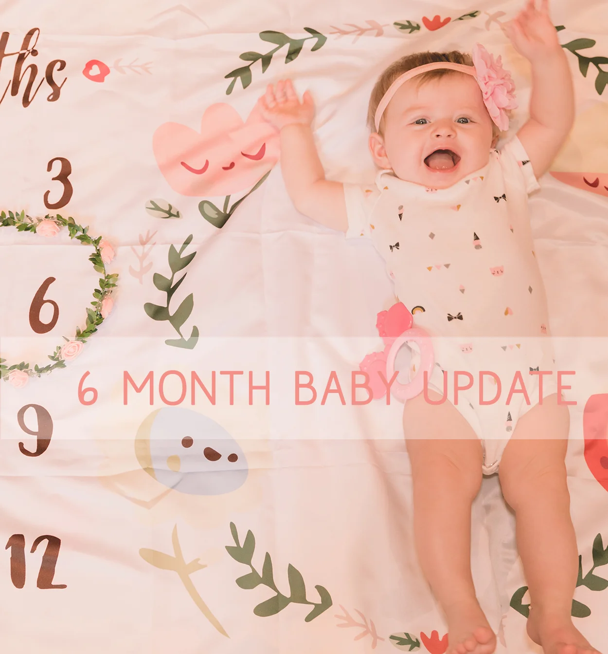 6-month-photos-4 copy.jpg