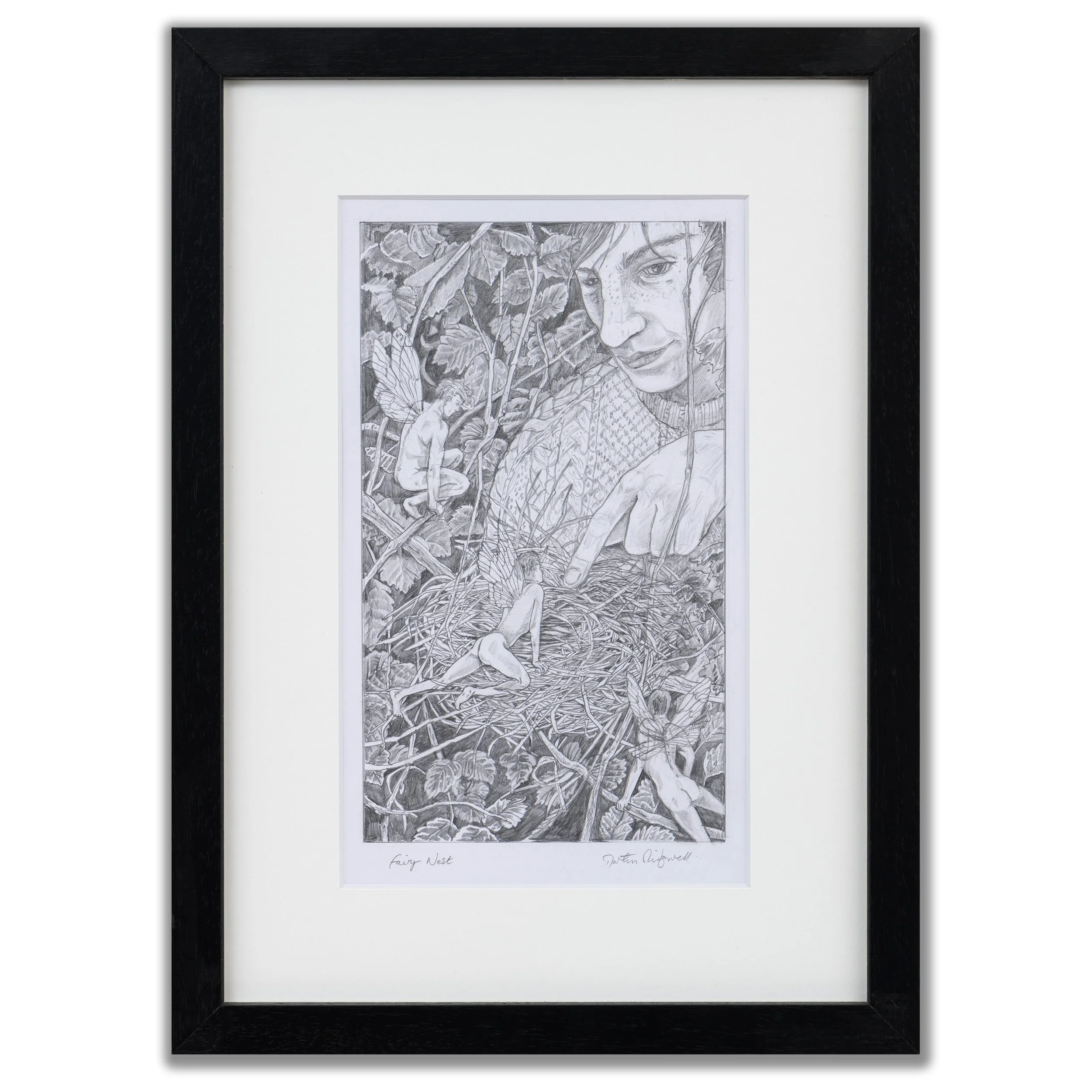 Martin Ridgwell, 'Fairy Nest', 2026