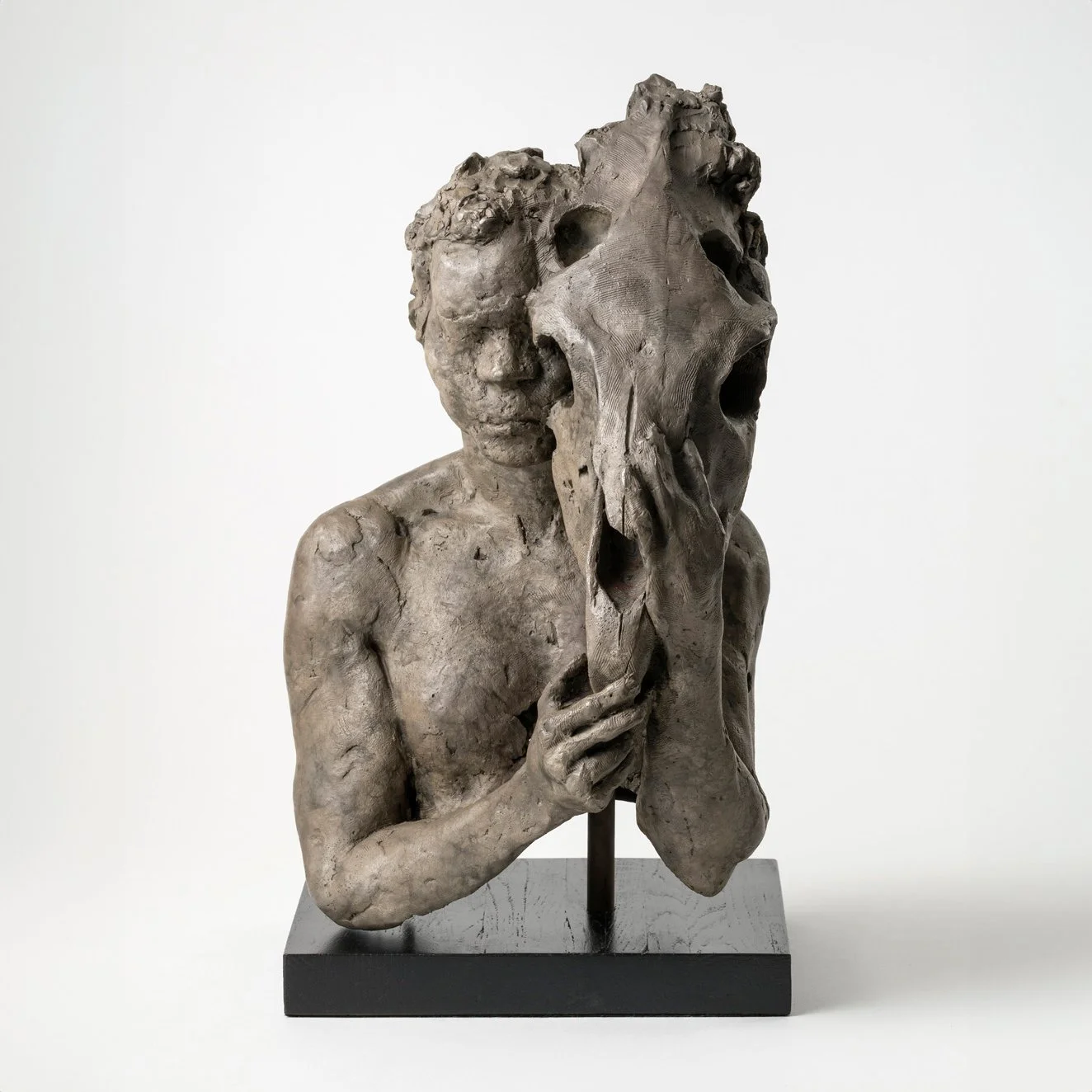 henry-miller-fine-art-male-form-hywel-pratley-equus-bronze.jpg