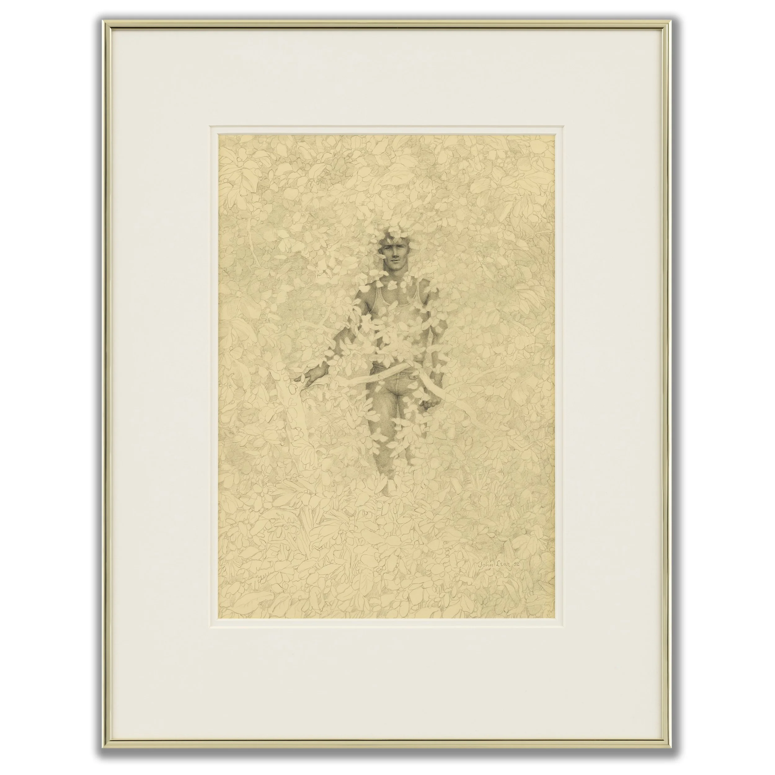 John B Lear 'Leaves', 1982