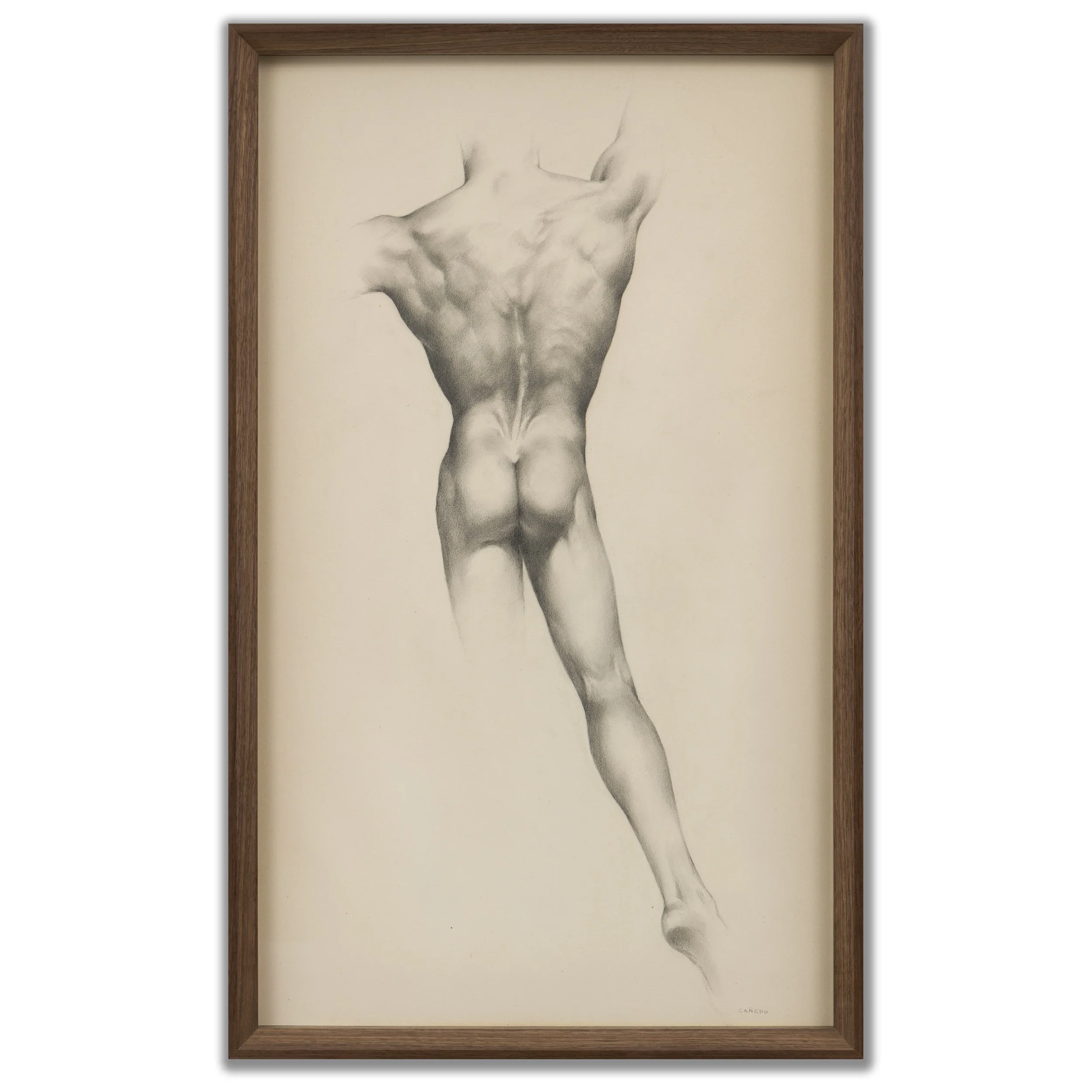 Alexander Cañedo, (Mexican/American 1902-1978), Standing Nude (Rear View), c.1960s